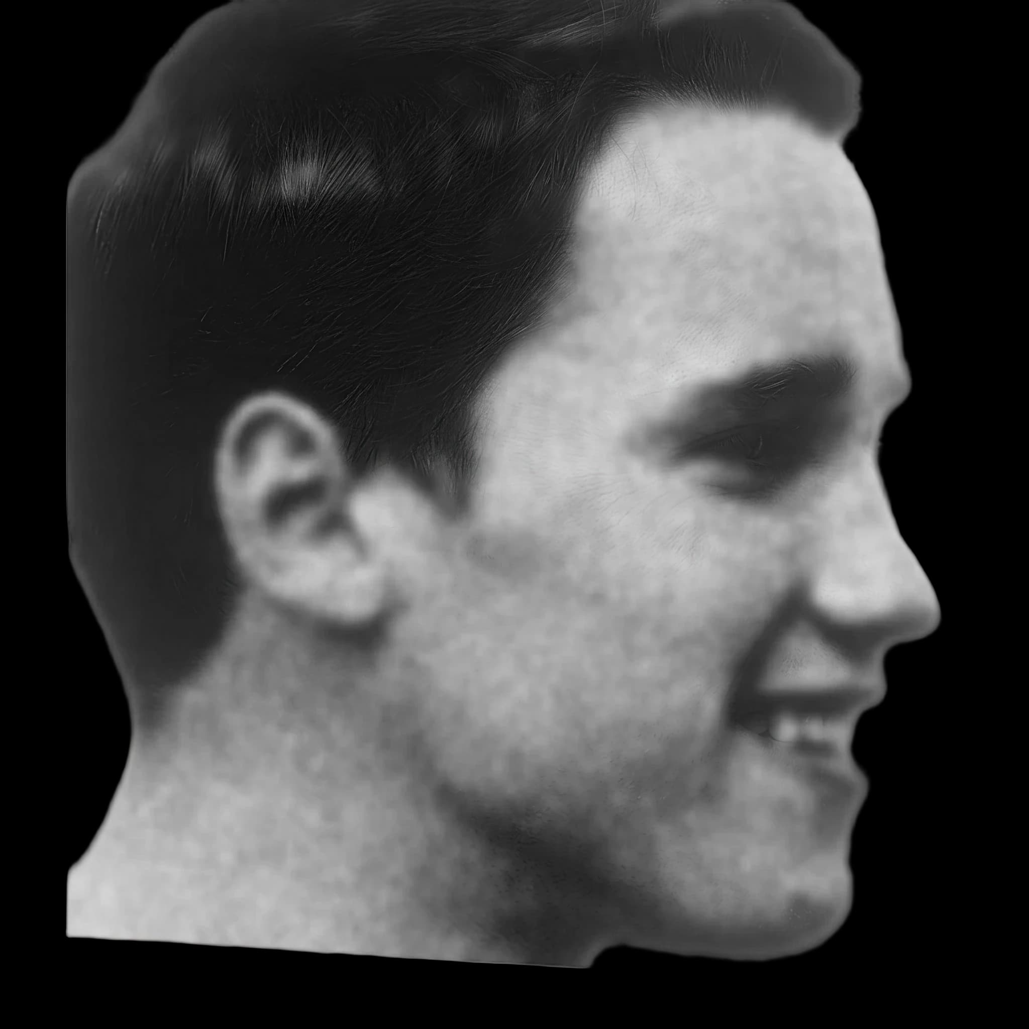 Arnold Schwaznegger, side profile