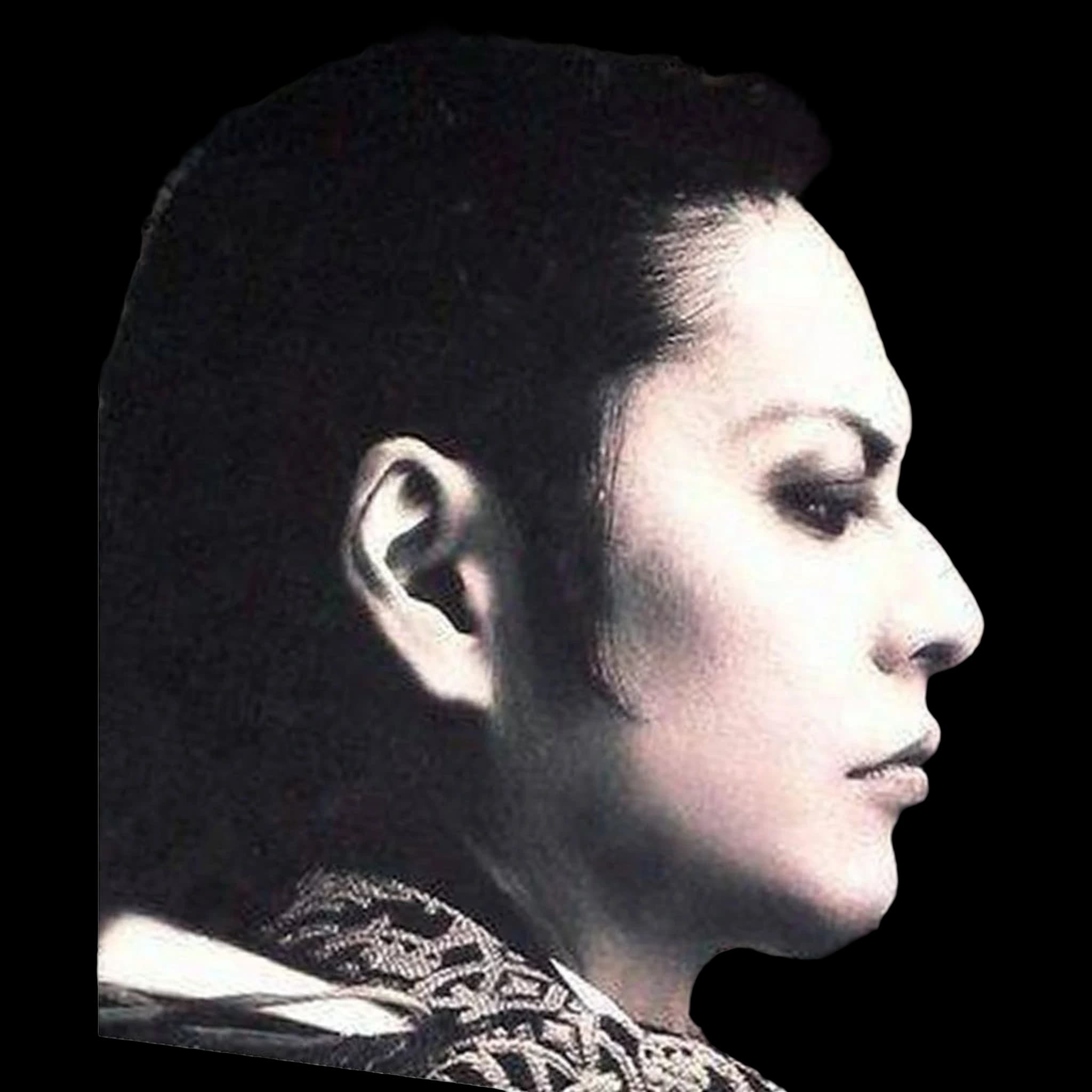Atsushi Sakurai, Orbital Vector