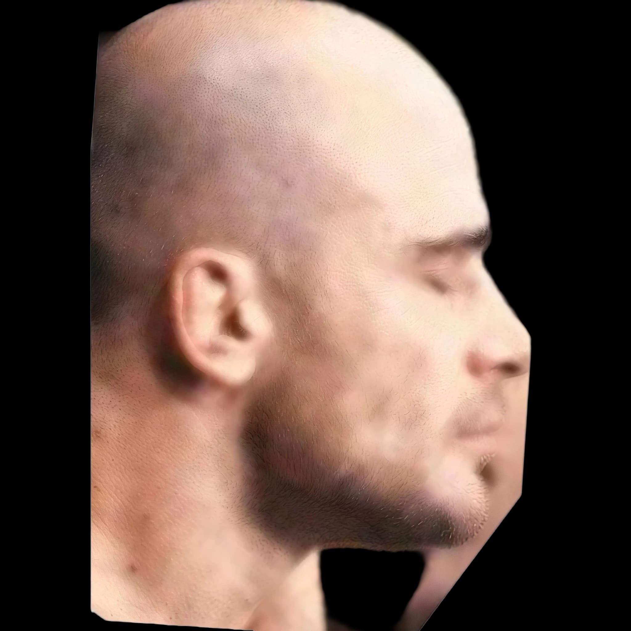 Bas Rutten, side profile