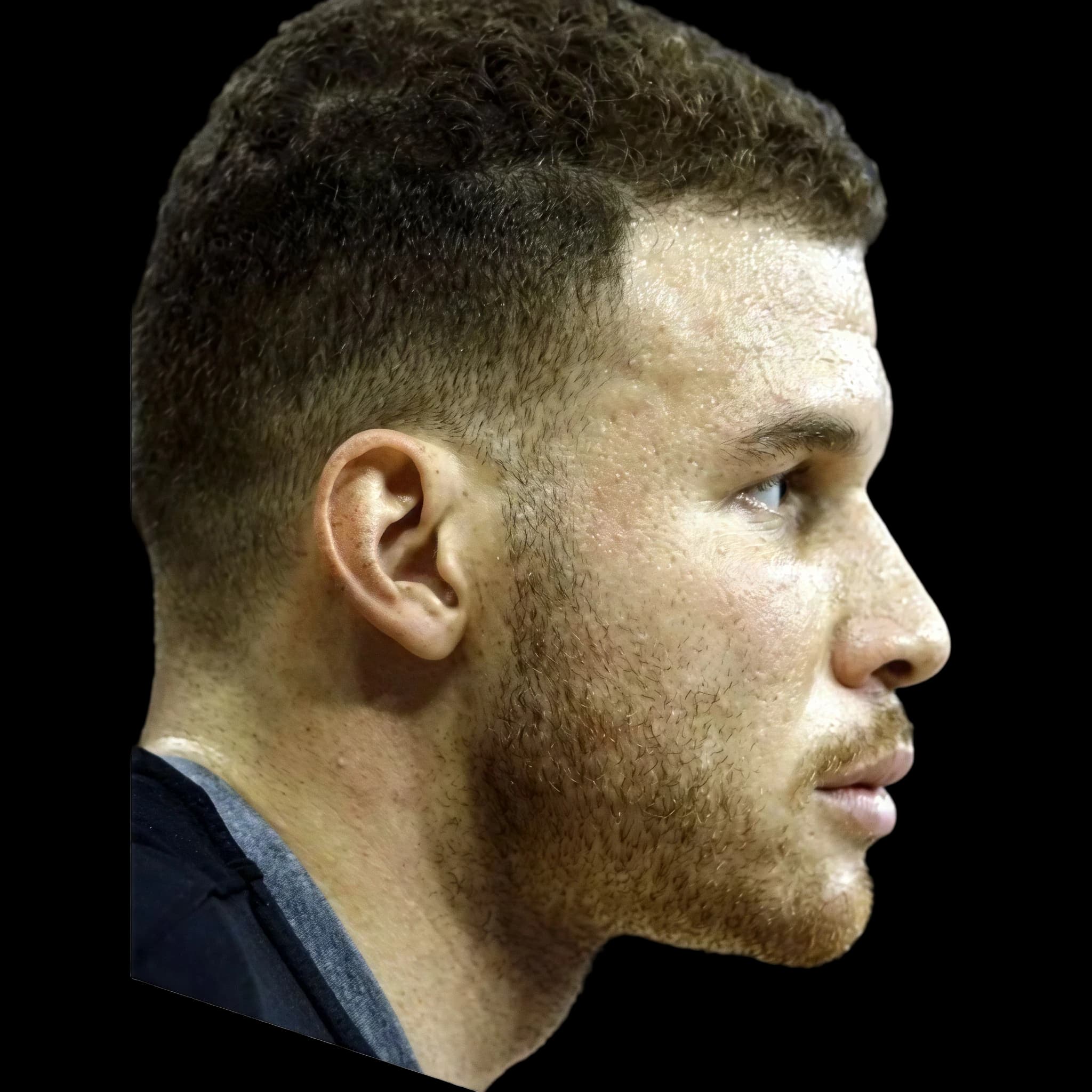 Blake Griffin, Orbital Vector