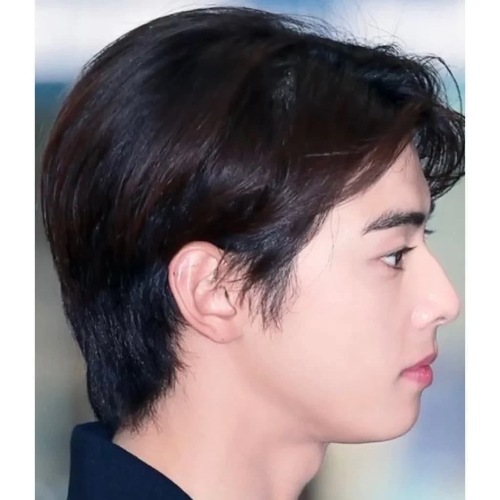 Cha Eun-woo (ASTRO)