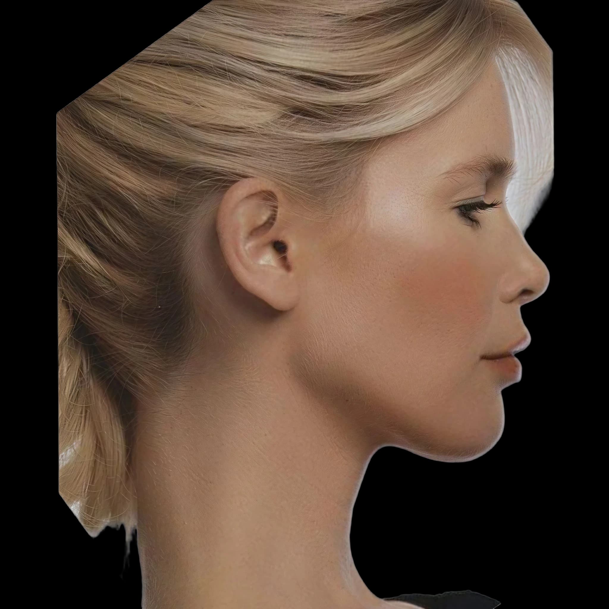 Claudia Schiffe, Orbital Vector