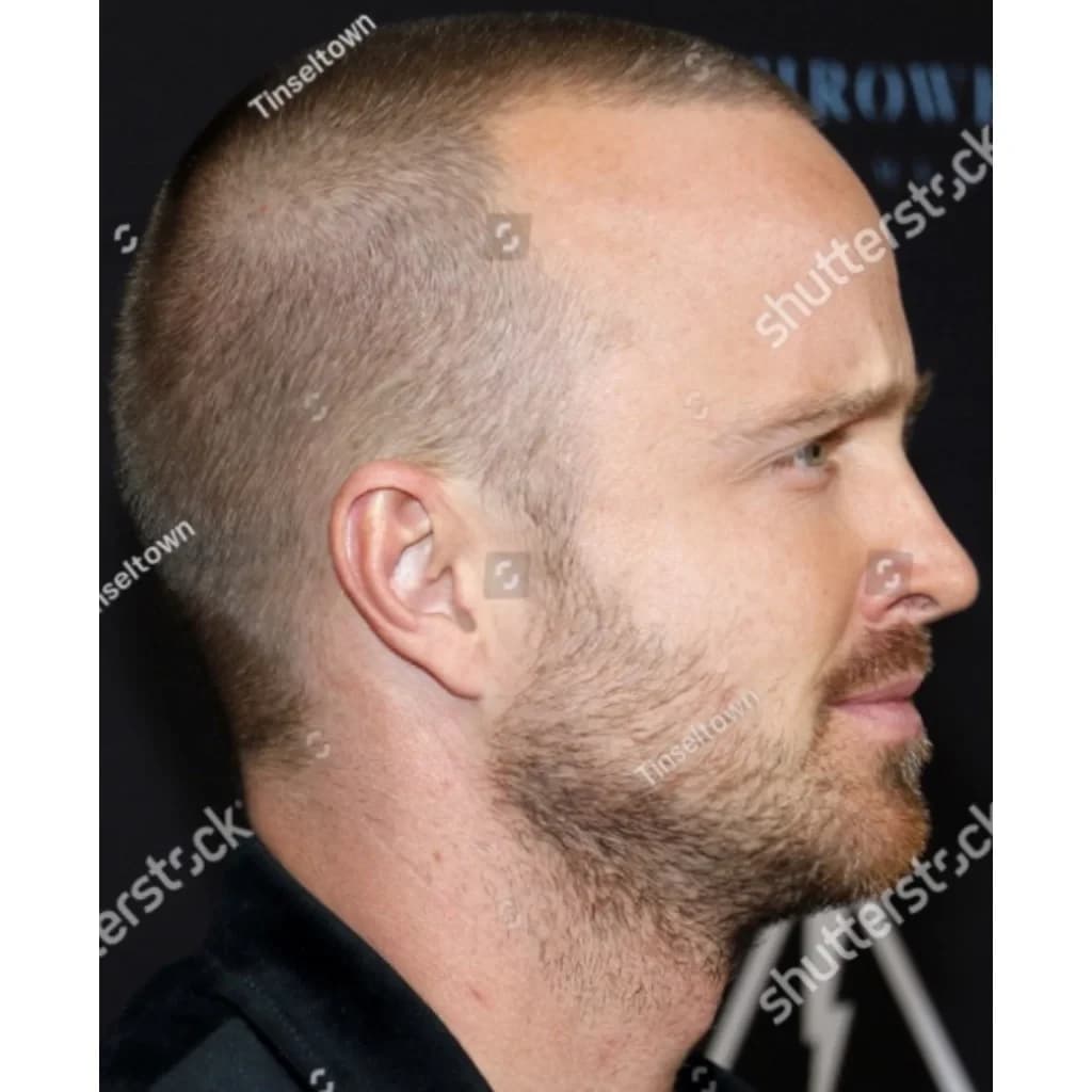 Aaron Paul