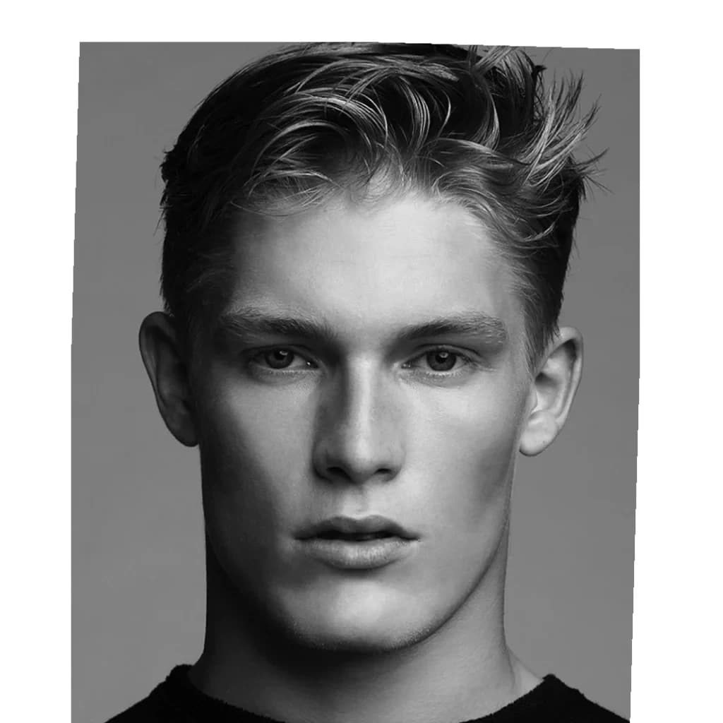 Harry Goodwins