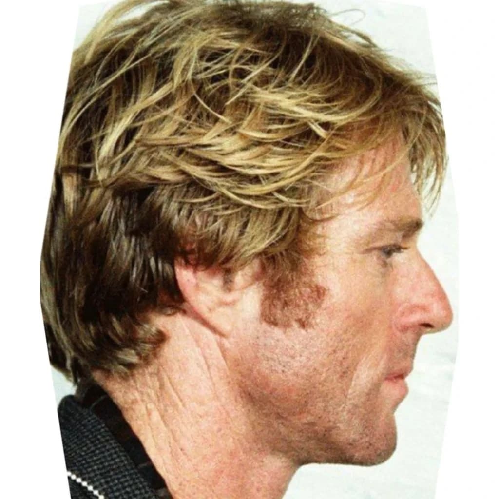 robert redford