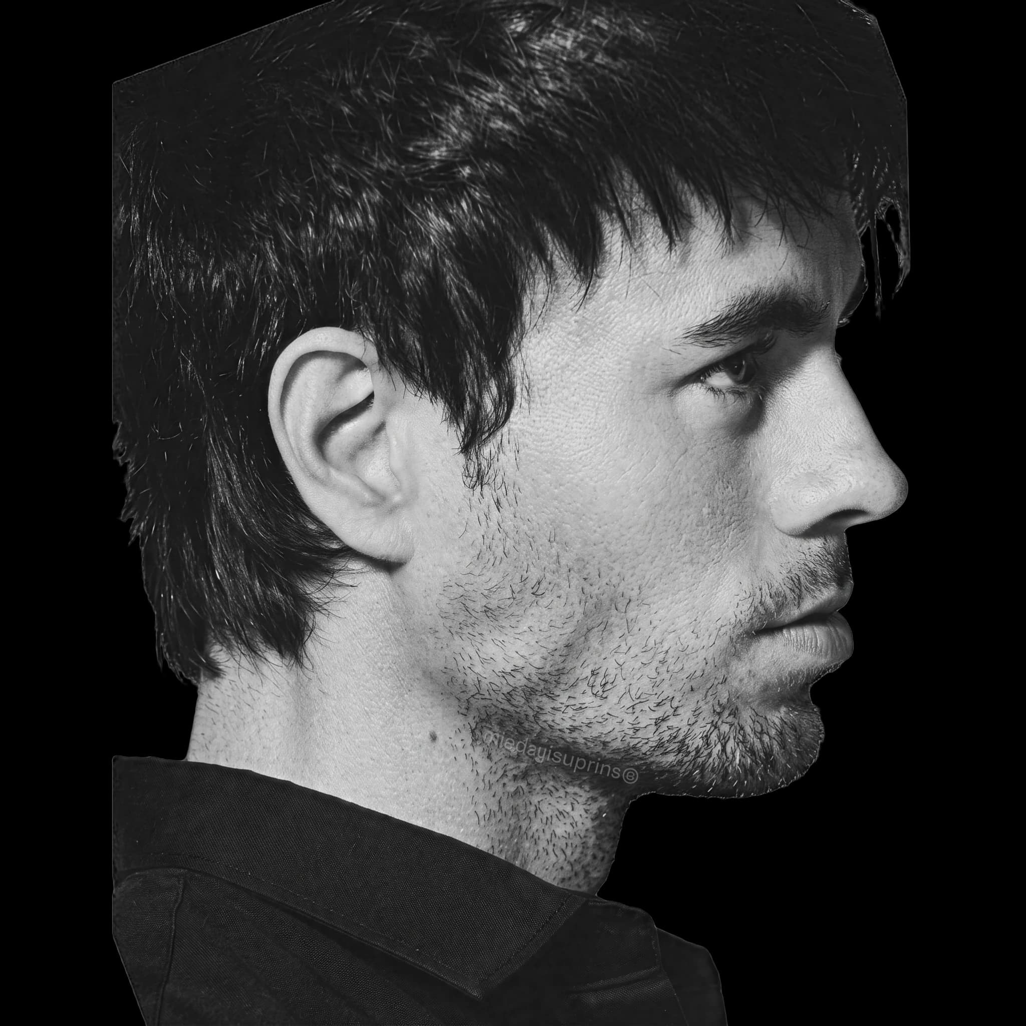 Enrique Iglesias, side profile