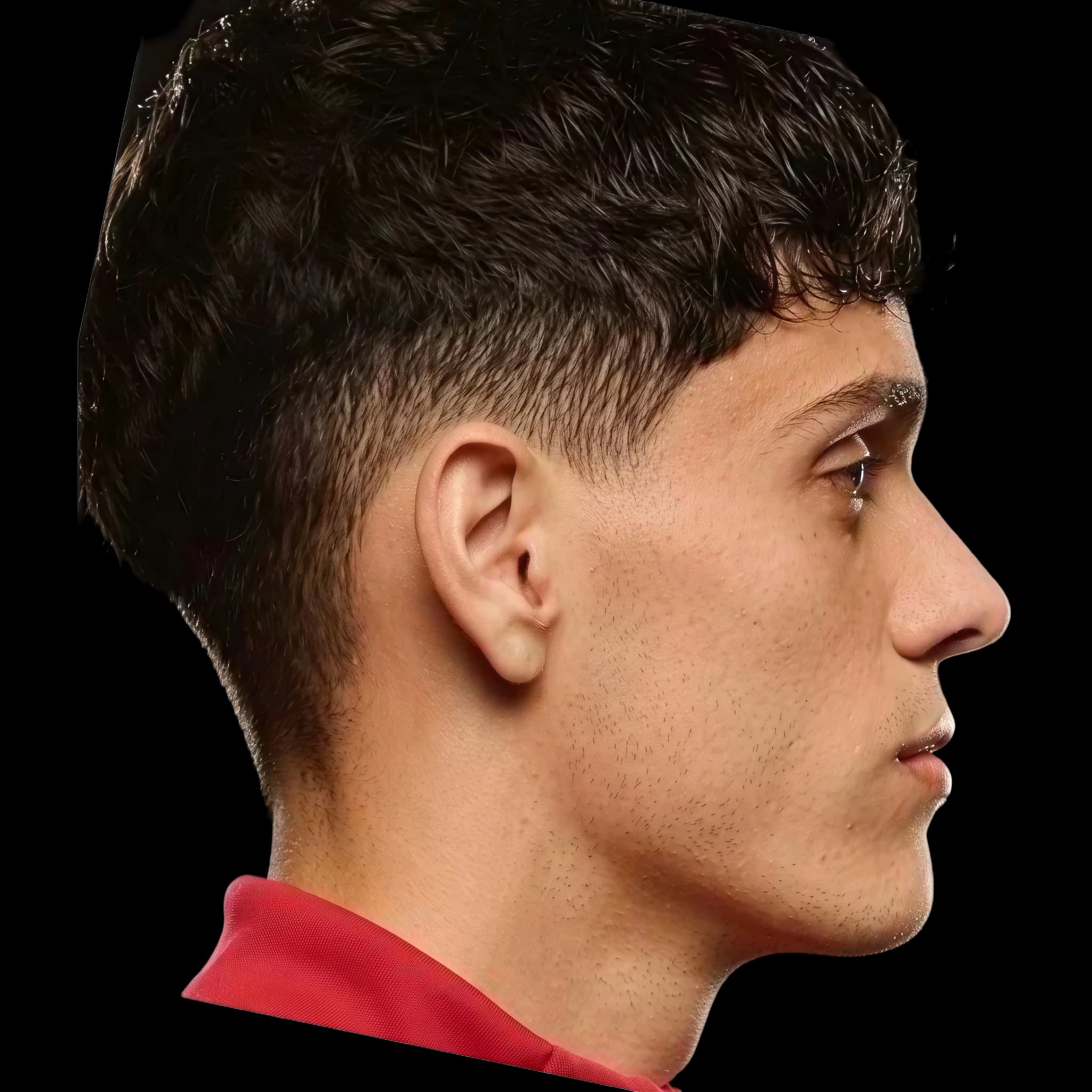 Héctor Fort, Submental Definition