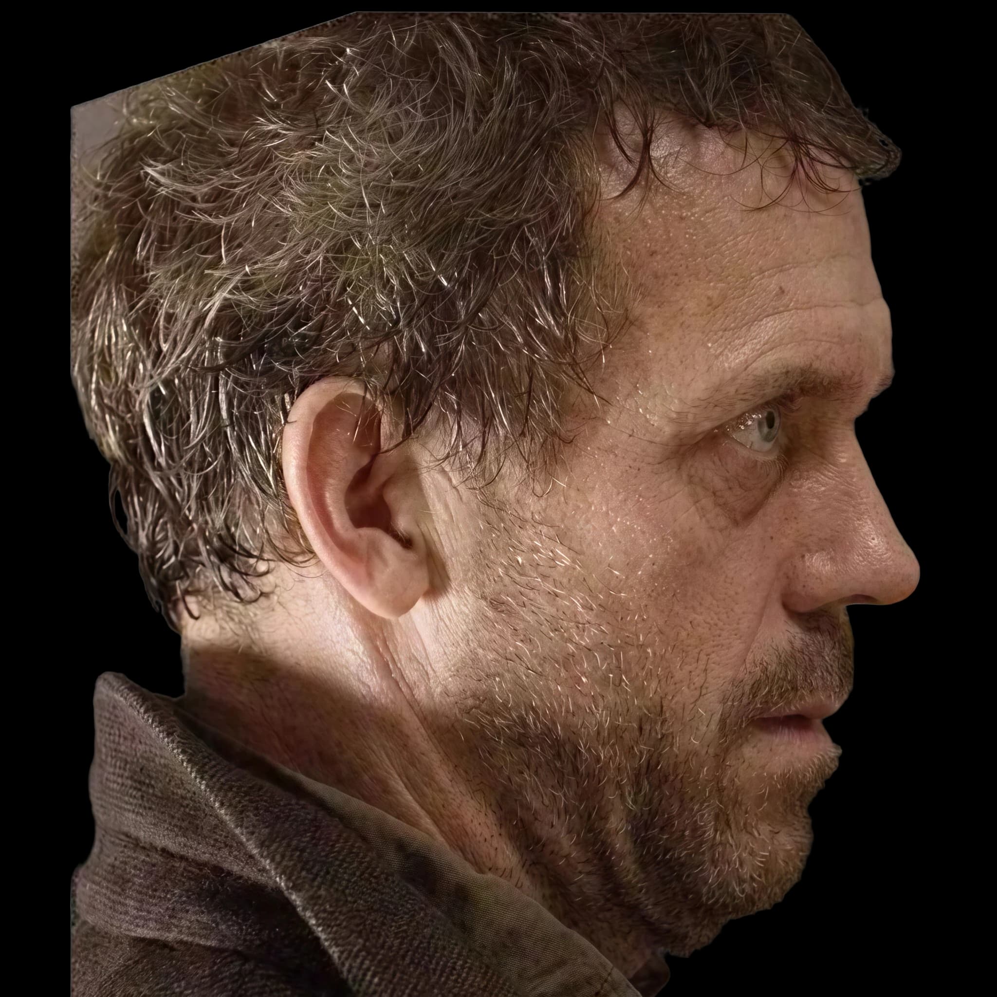 Hugh Laurie, Orbital Vector