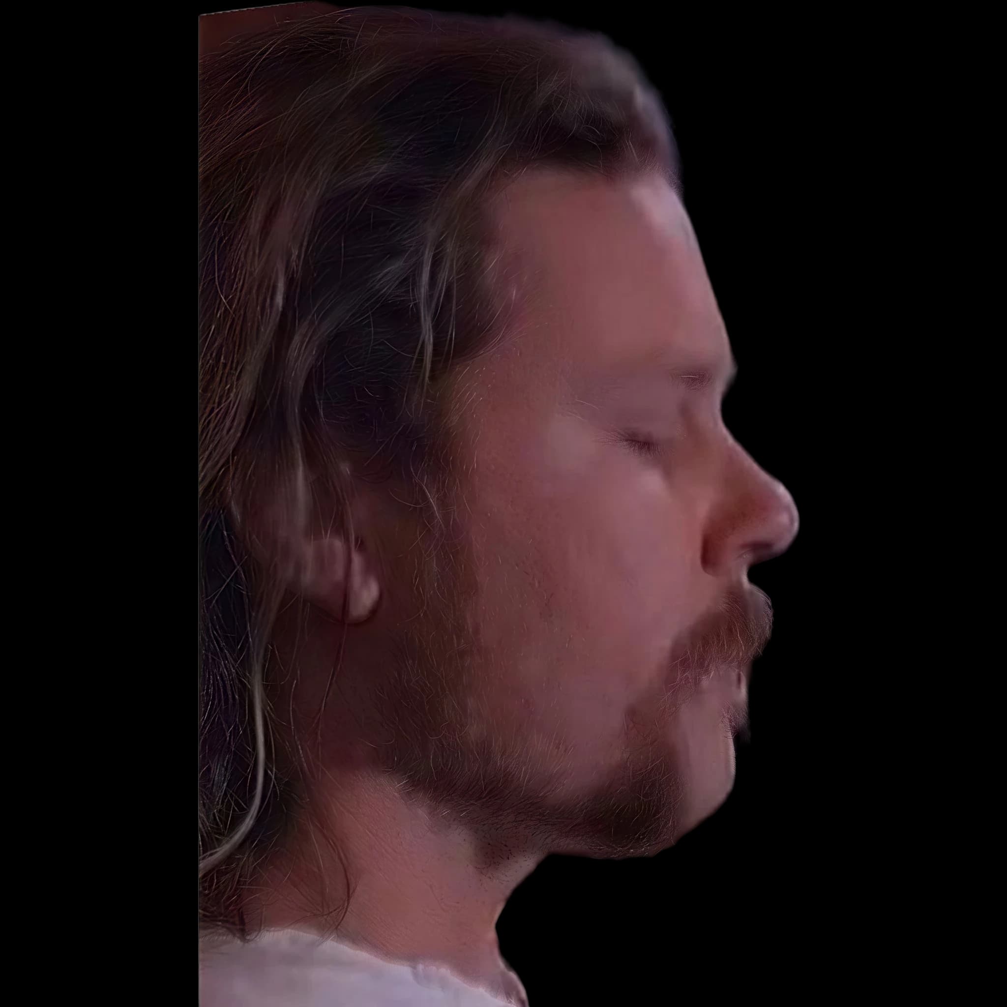James Hetfield, side profile