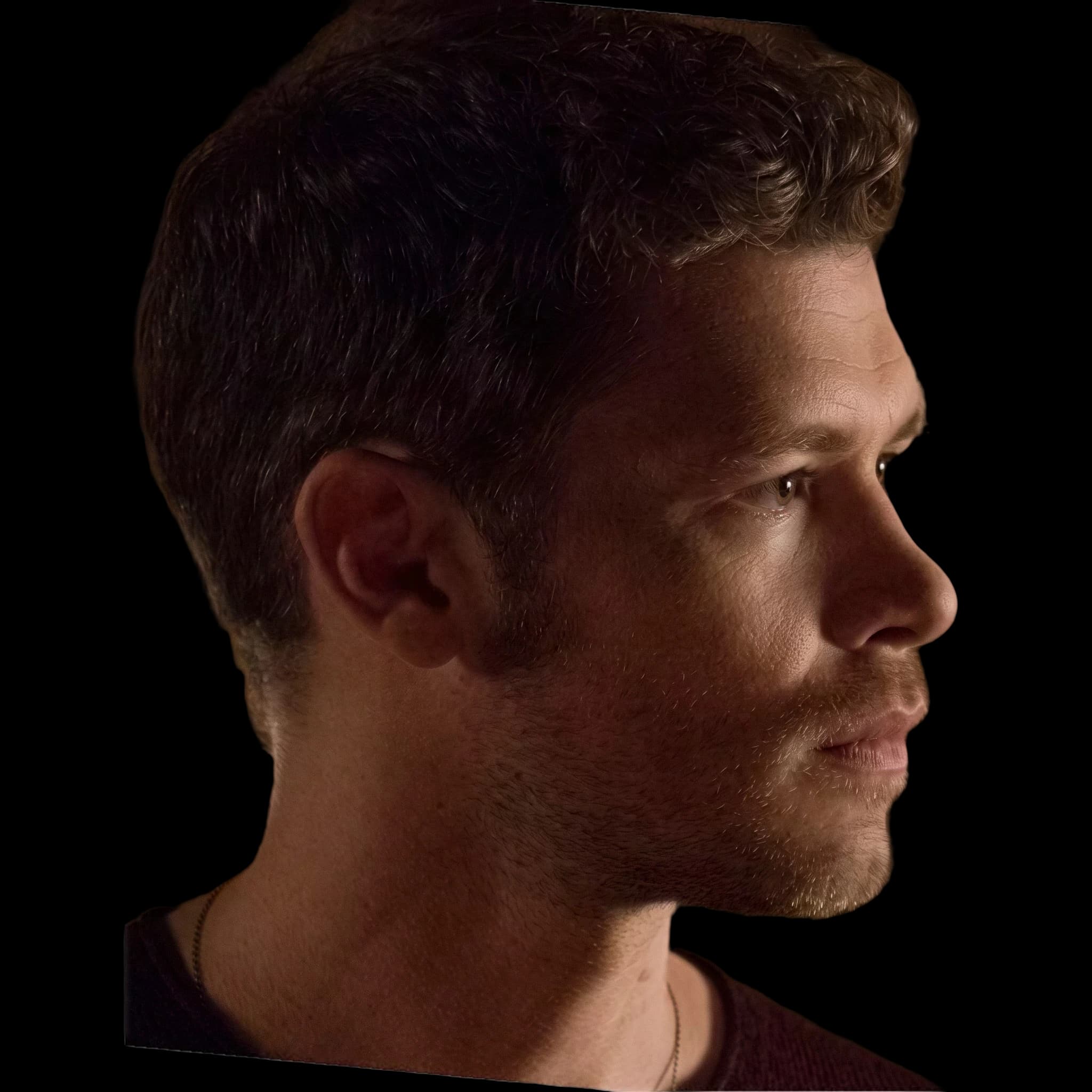 Joseph Morgan, Gonial Angle