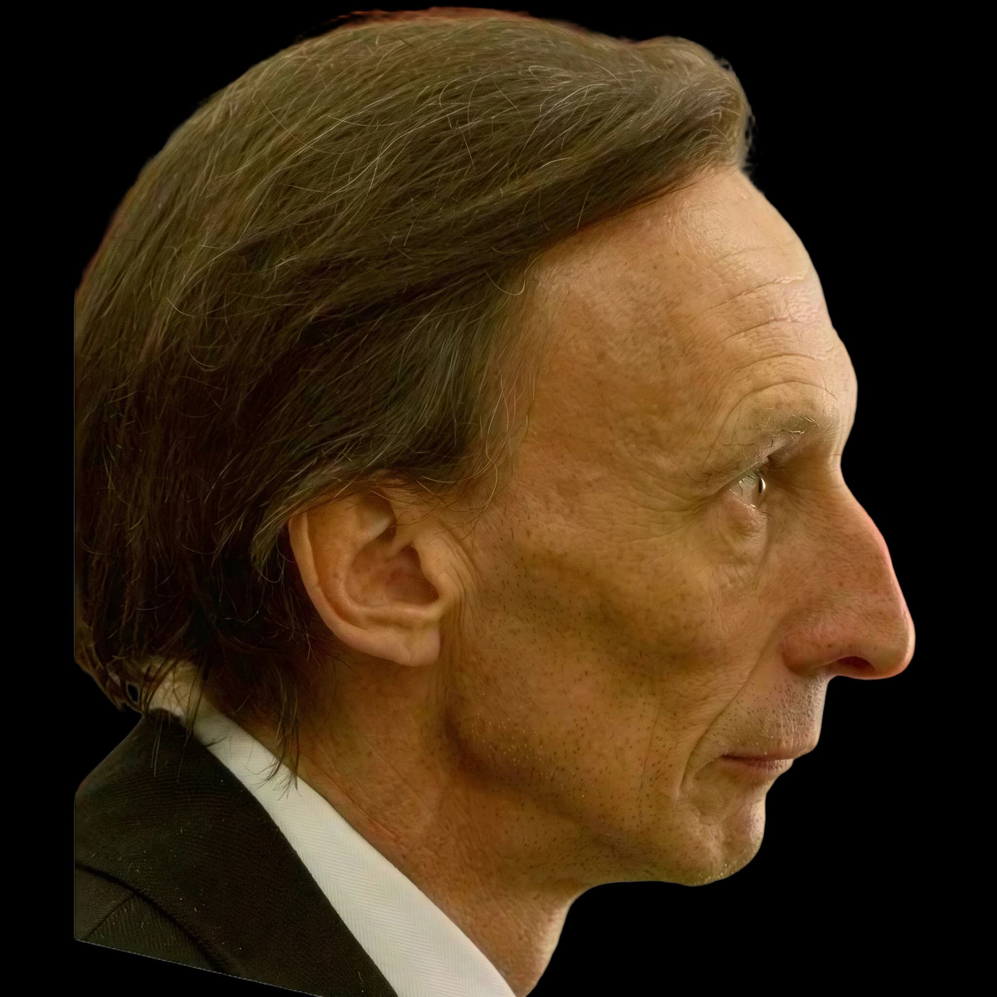 Julian Richings, Browridge Inclination Angle