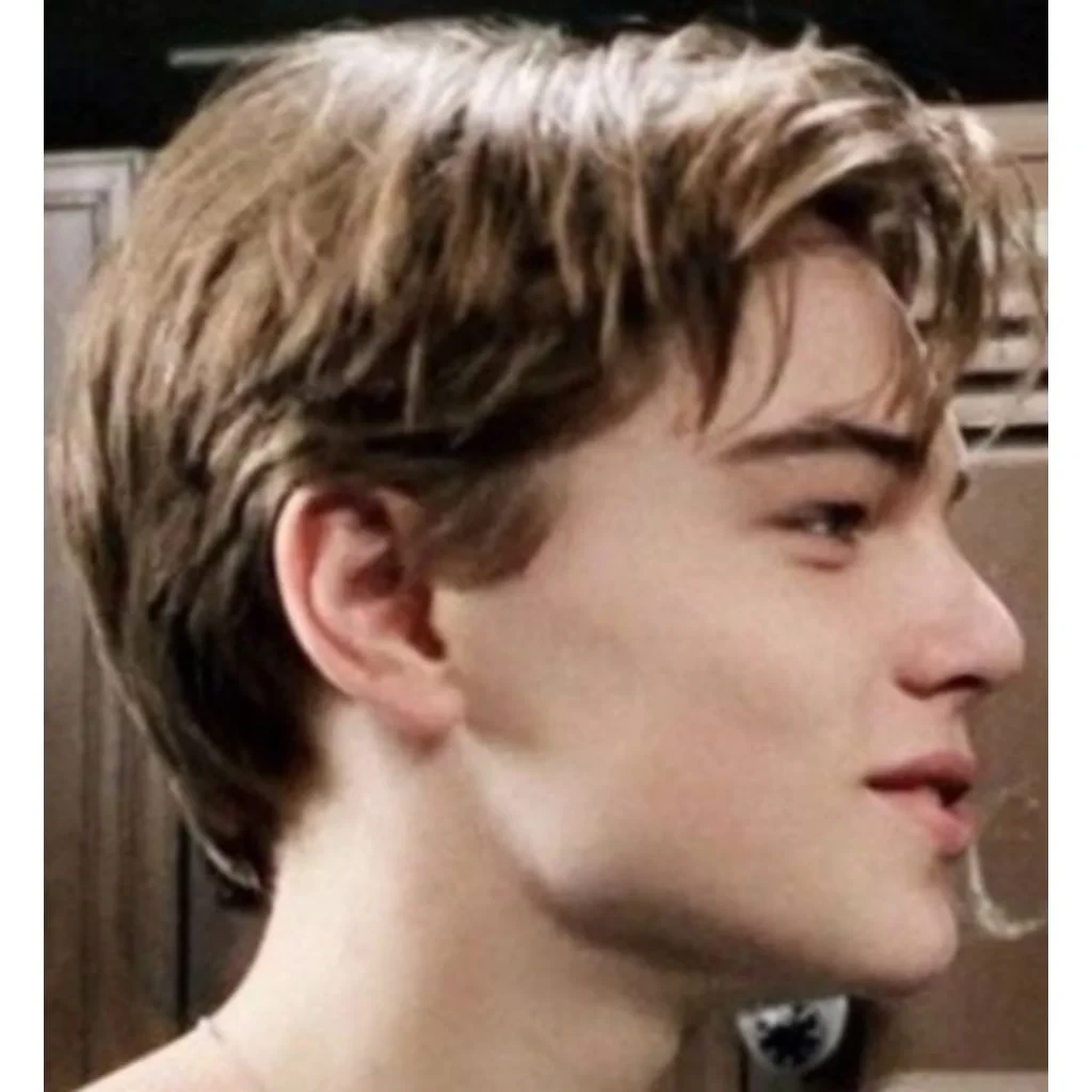 Leonardo DiCaprio