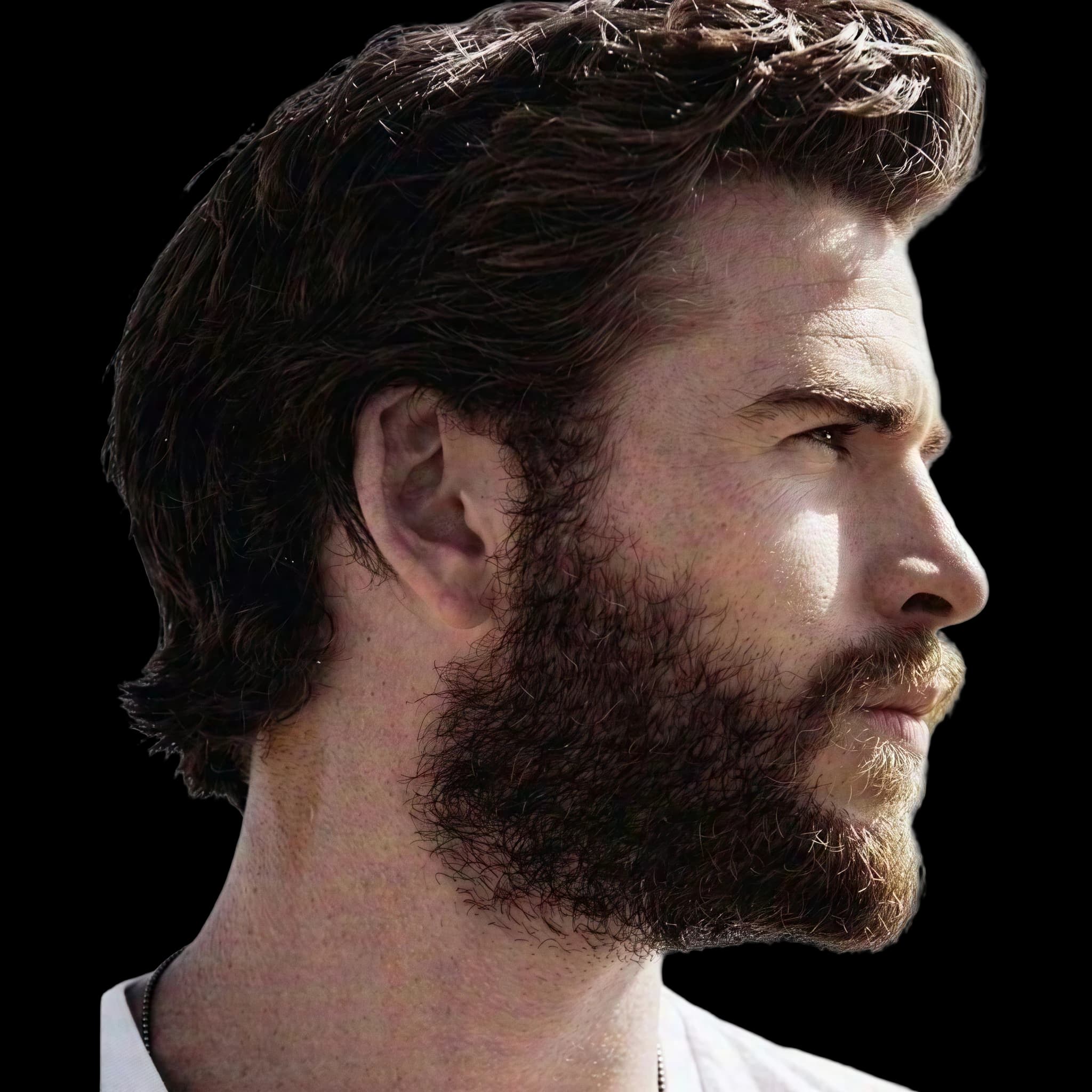 Liam Hemsworth, side profile