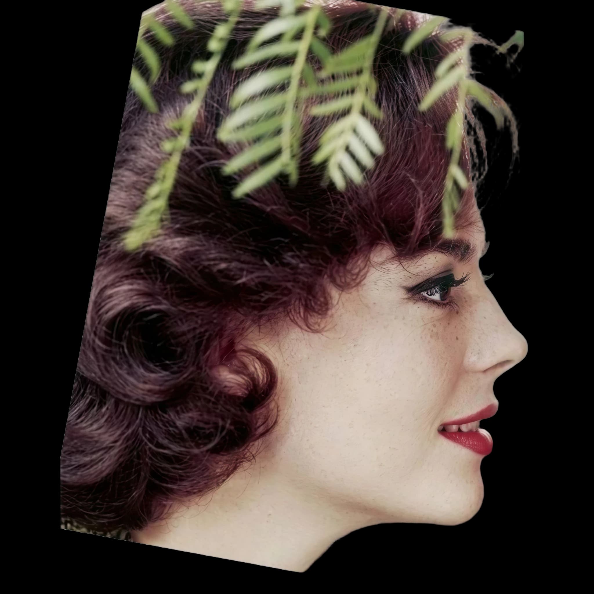 Natalie Wood, Nasal Tip Angle