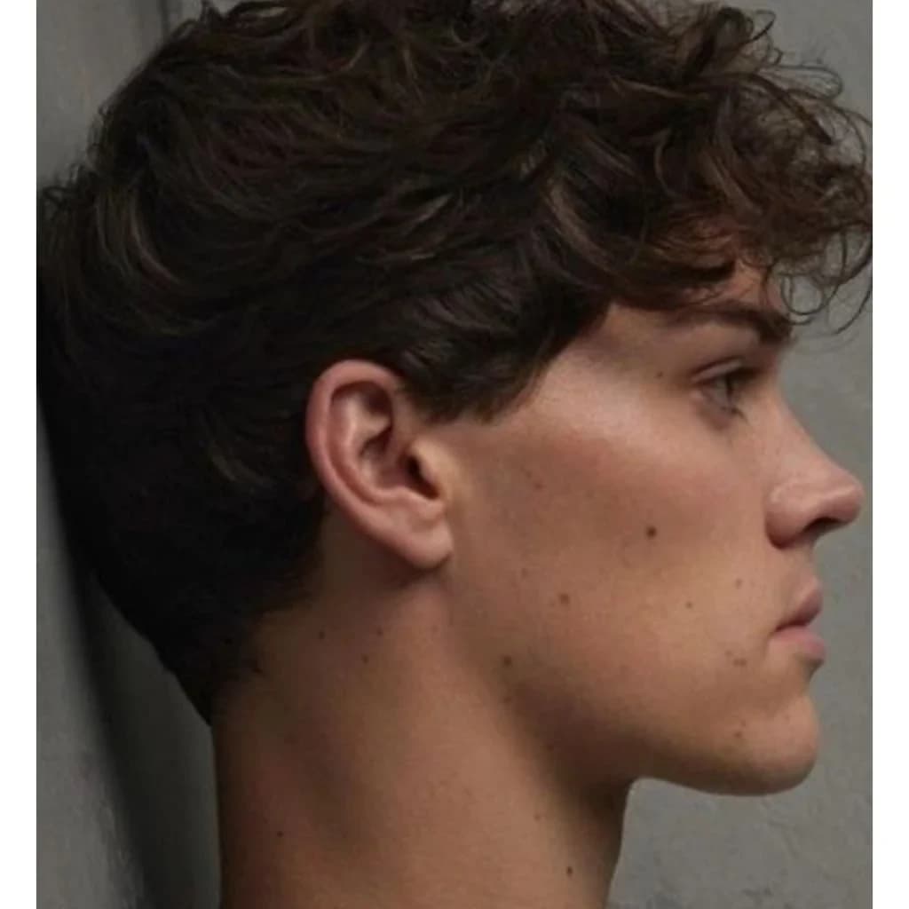Noah Beck