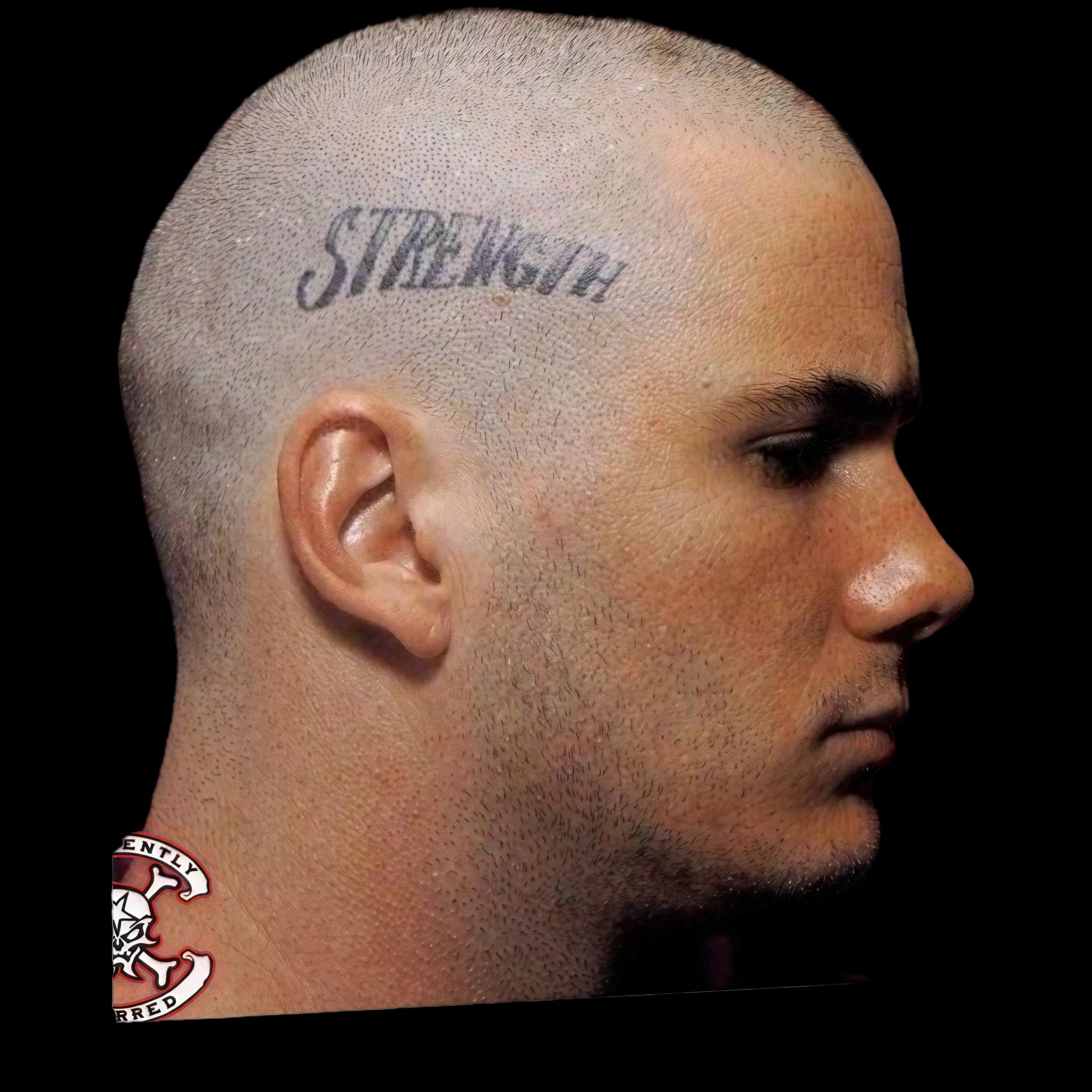 Phil Anselmo, side profile