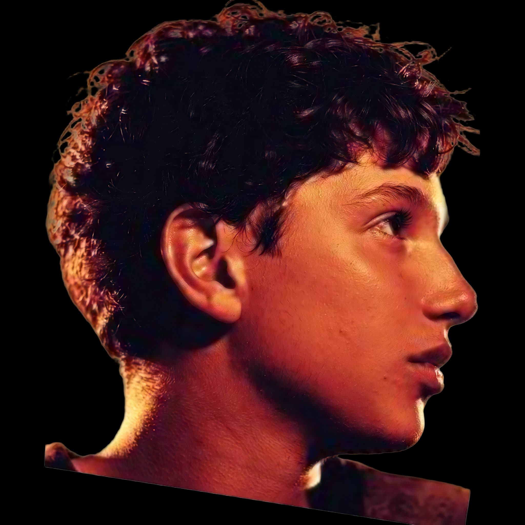 Ralph Macchio, side profile