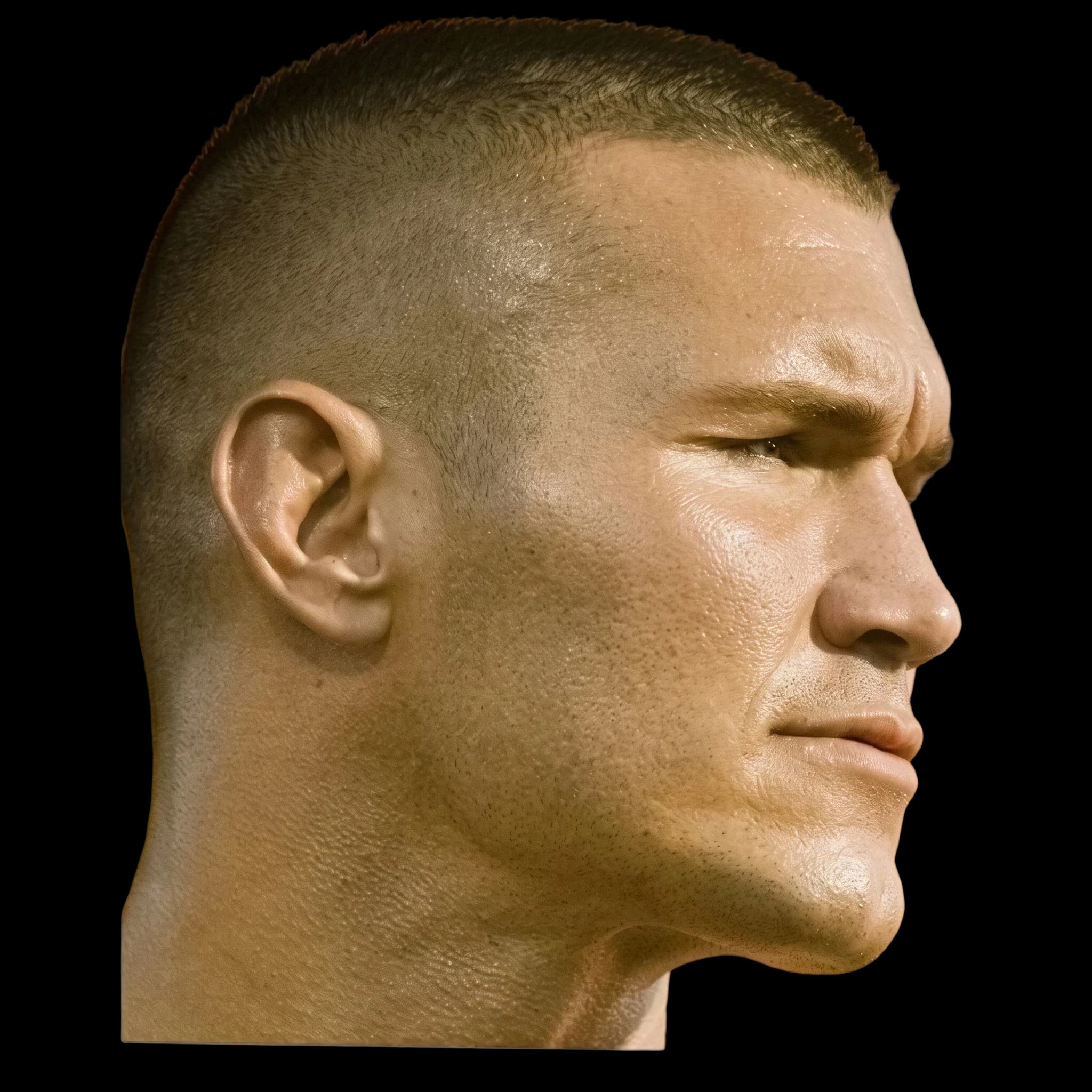 Randy Orton, side profile