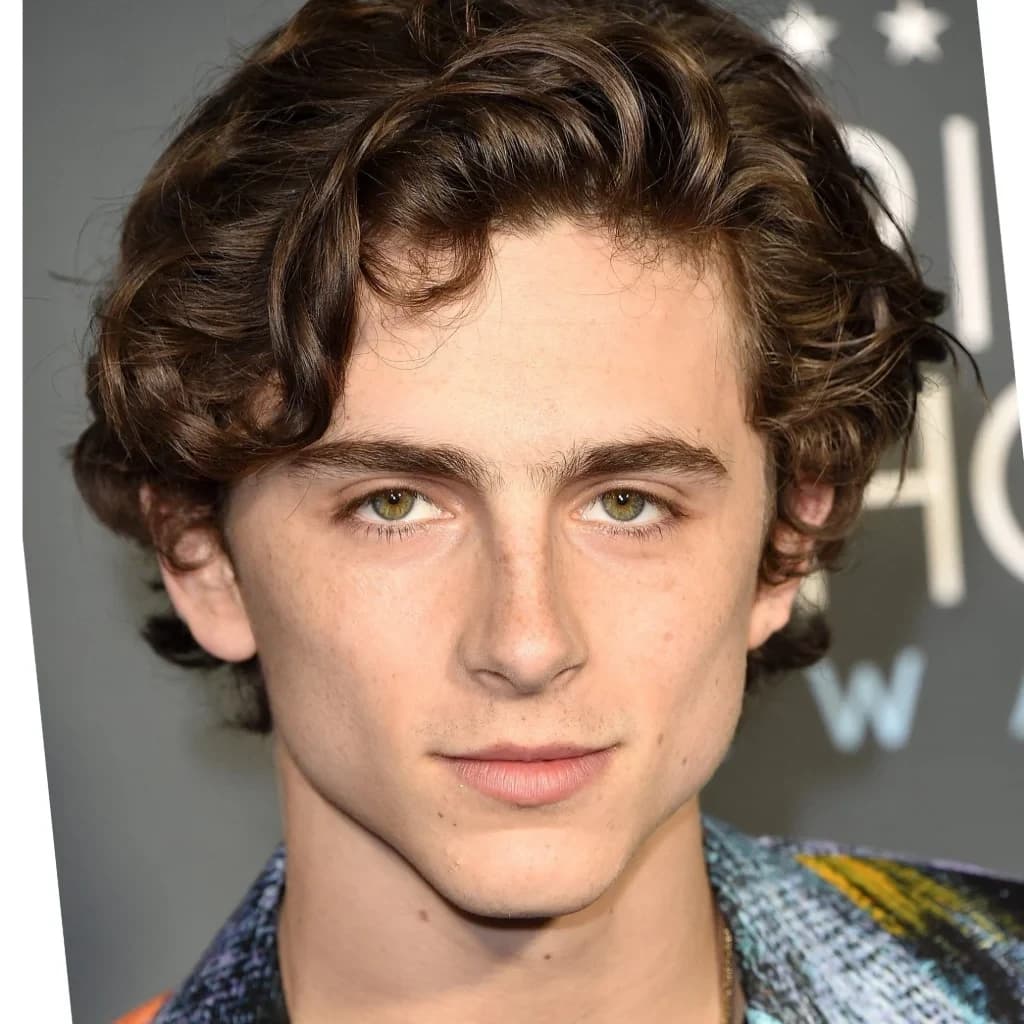 Timothée Chalamet