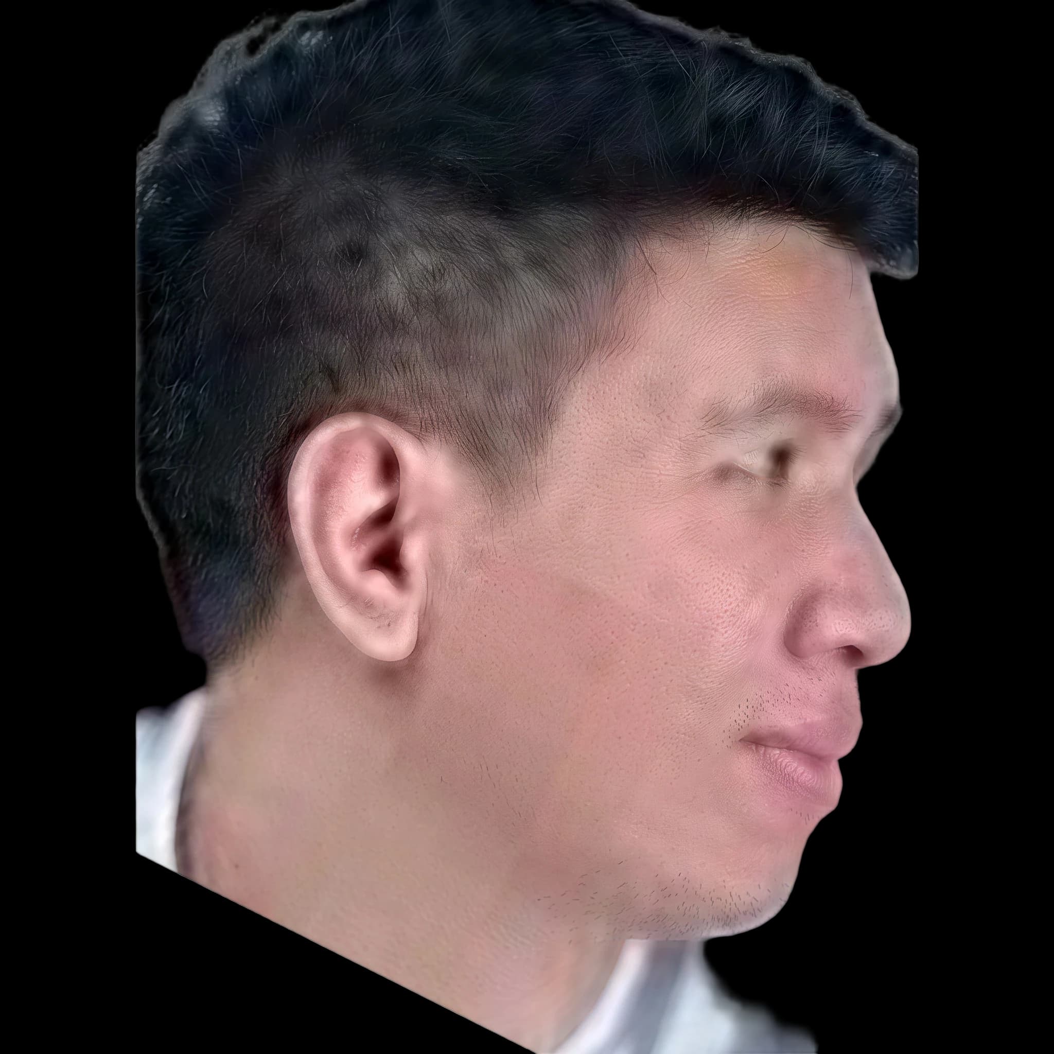 Windah Basudara, side profile