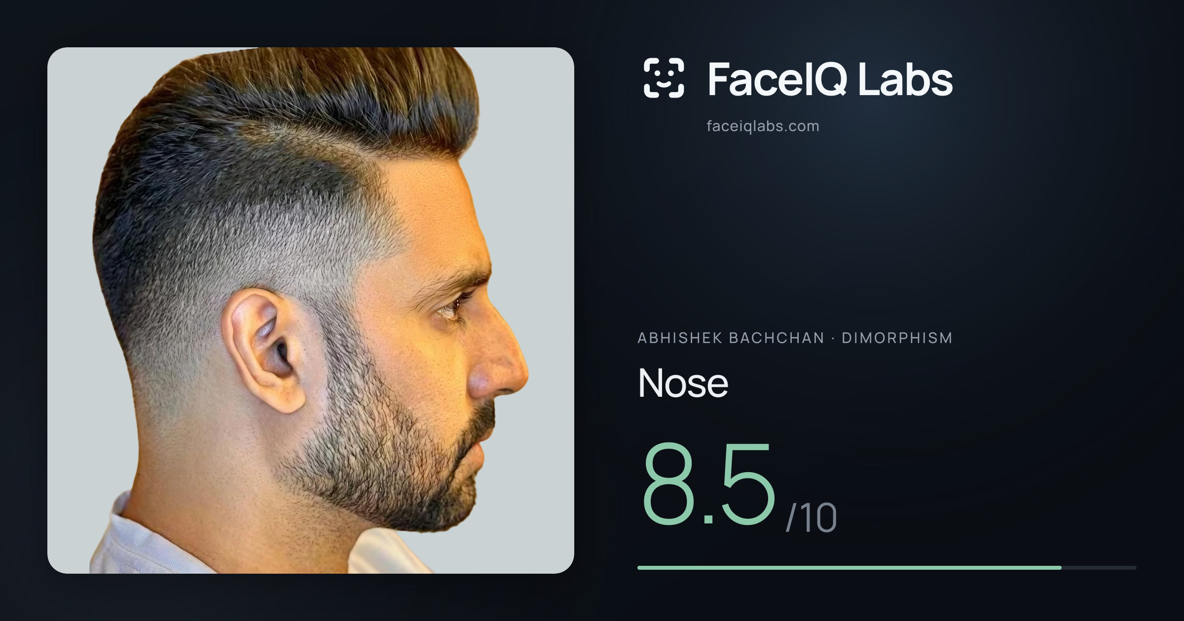 Abhishek Bachchan Nose: 8.5/10, drawn on the photo