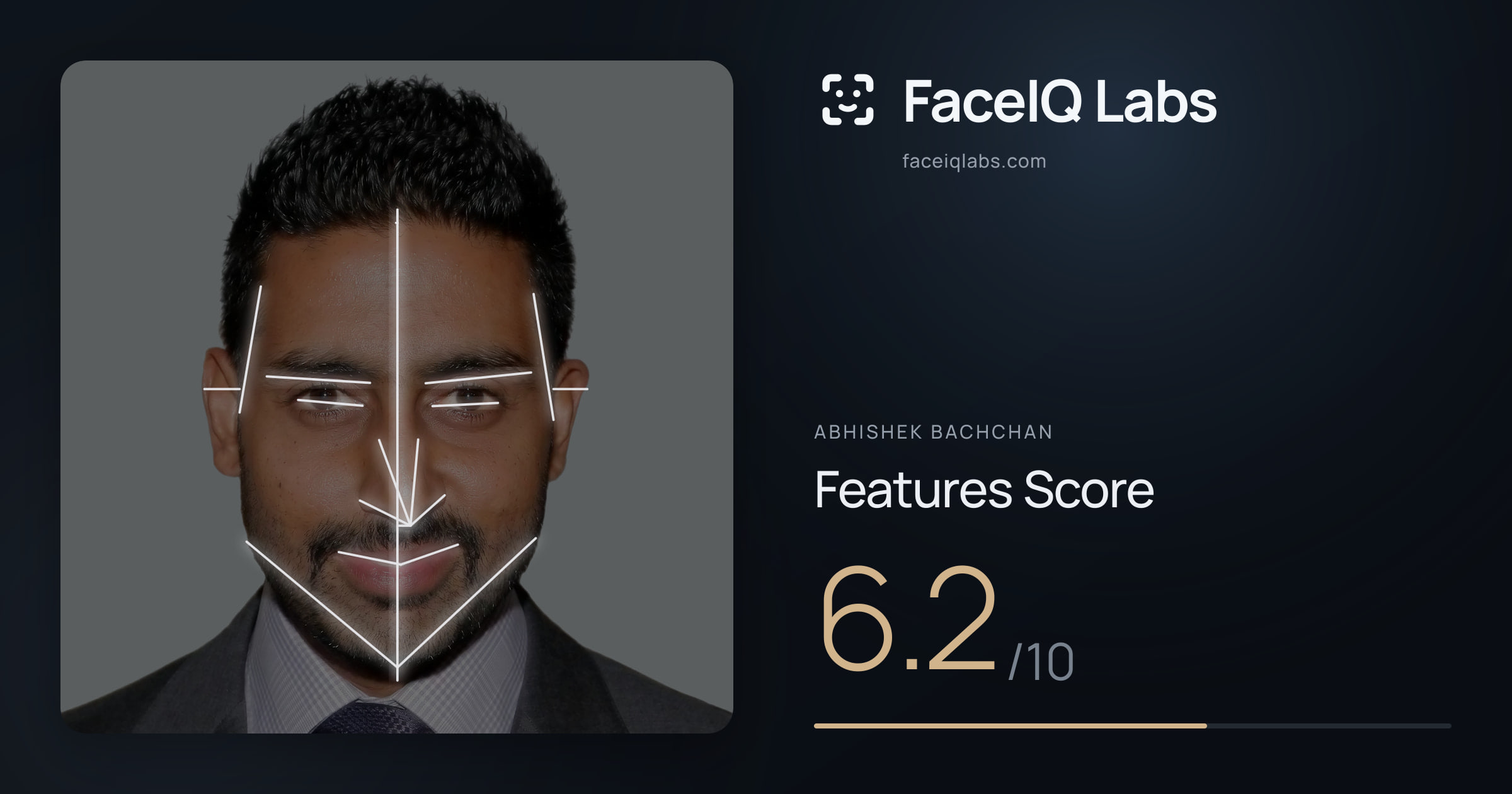 Abhishek Bachchan Features: 6.2/10, with each assessment drawn on the photo