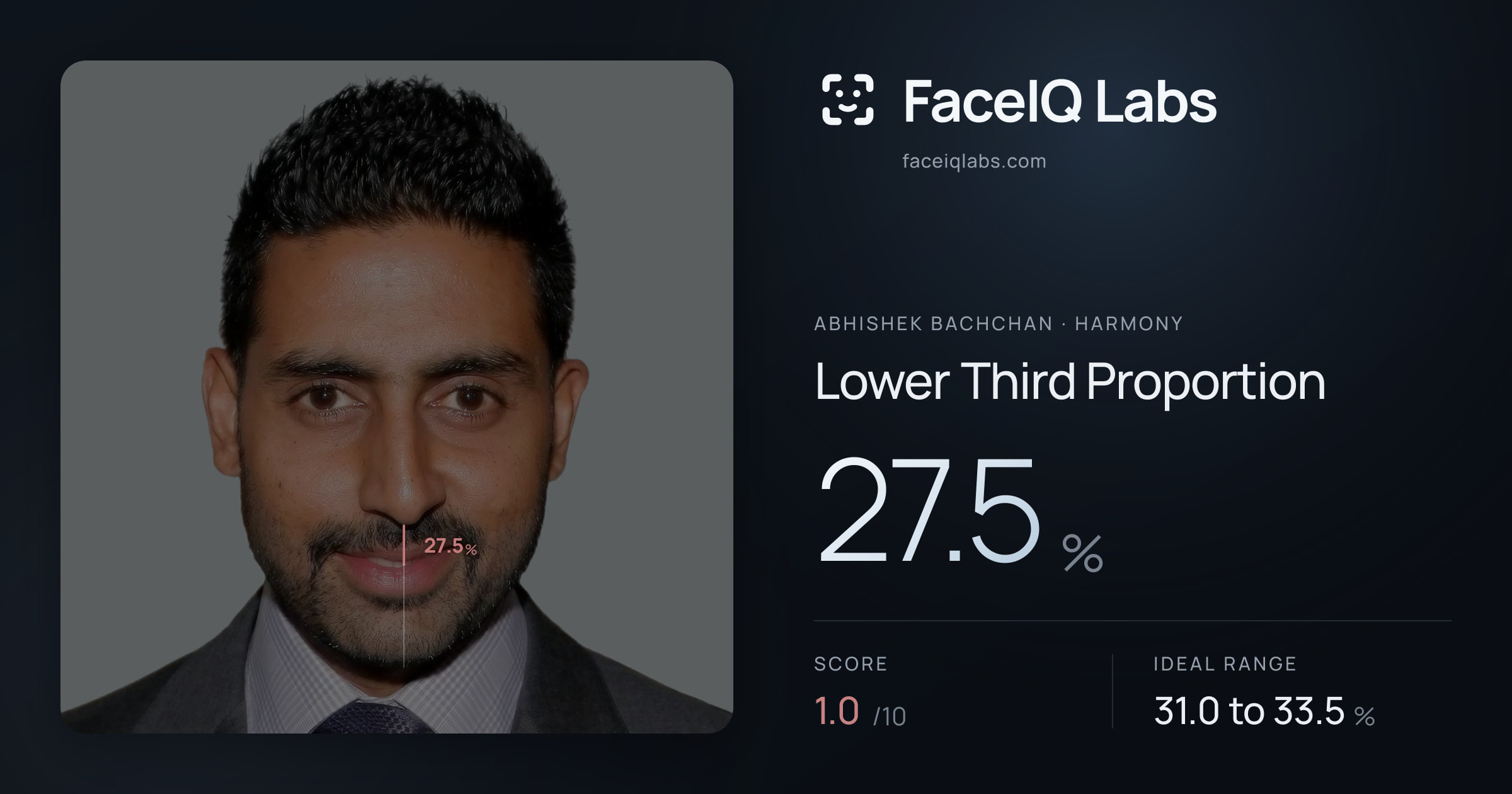 Abhishek Bachchan Lower Third Proportion: 27.5%, drawn on the photo