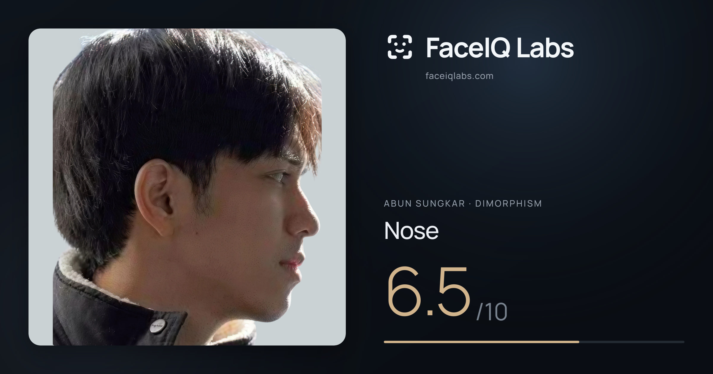 Abun Sungkar Nose: 6.5/10, drawn on the photo