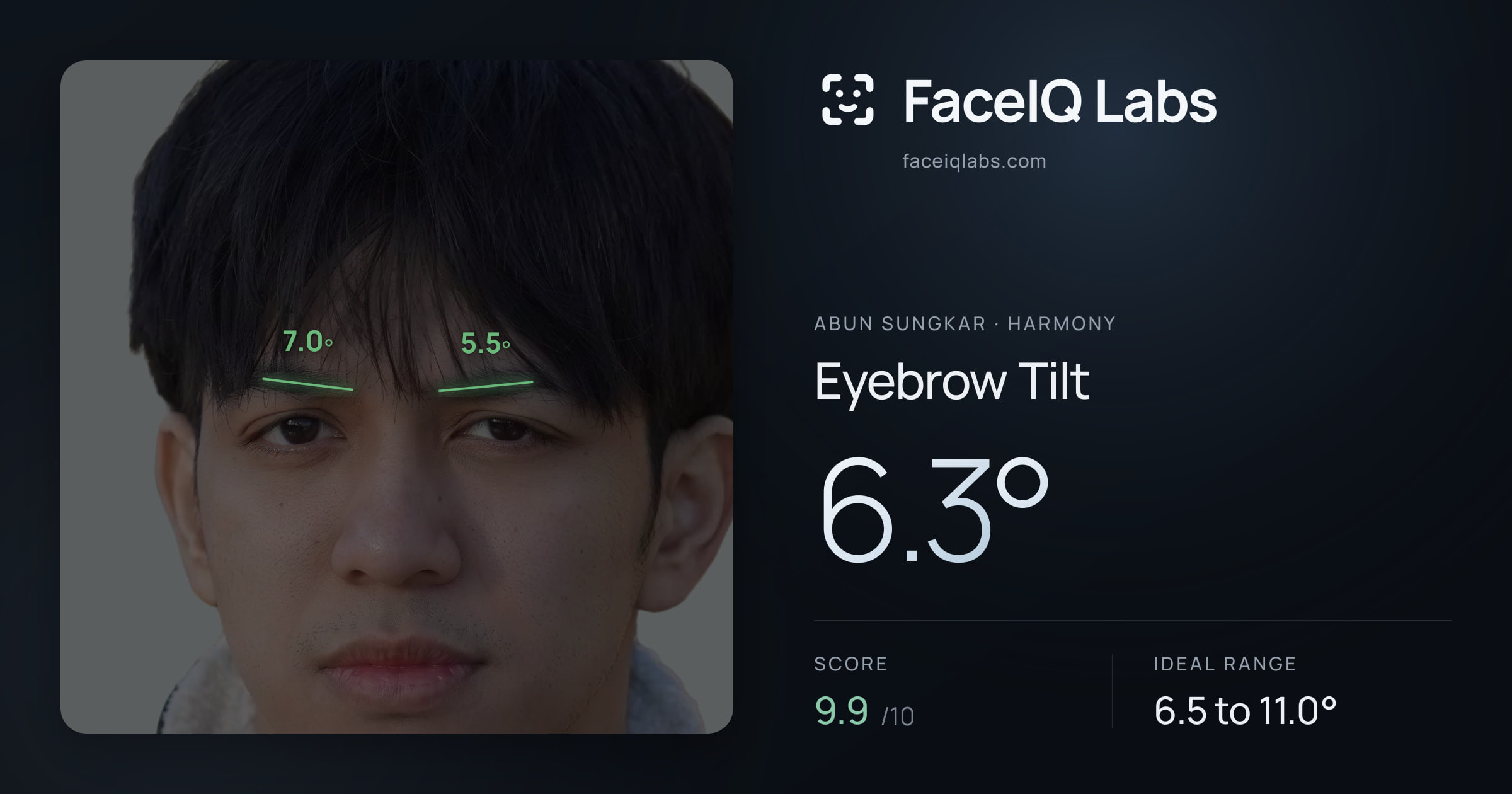 Abun Sungkar Eyebrow Tilt: 6.3°, drawn on the photo