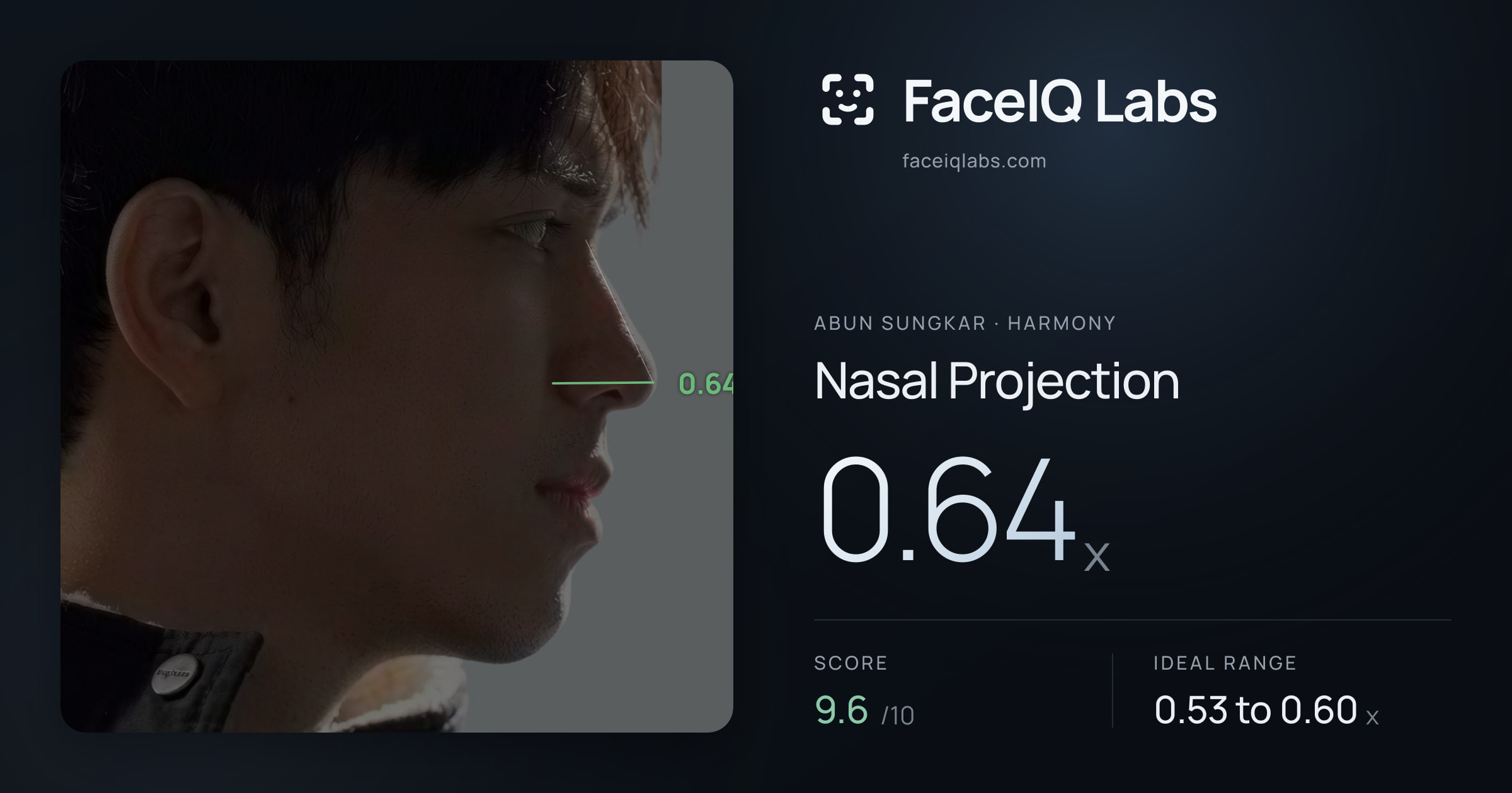 Abun Sungkar Nasal Projection: 0.64x, drawn on the photo