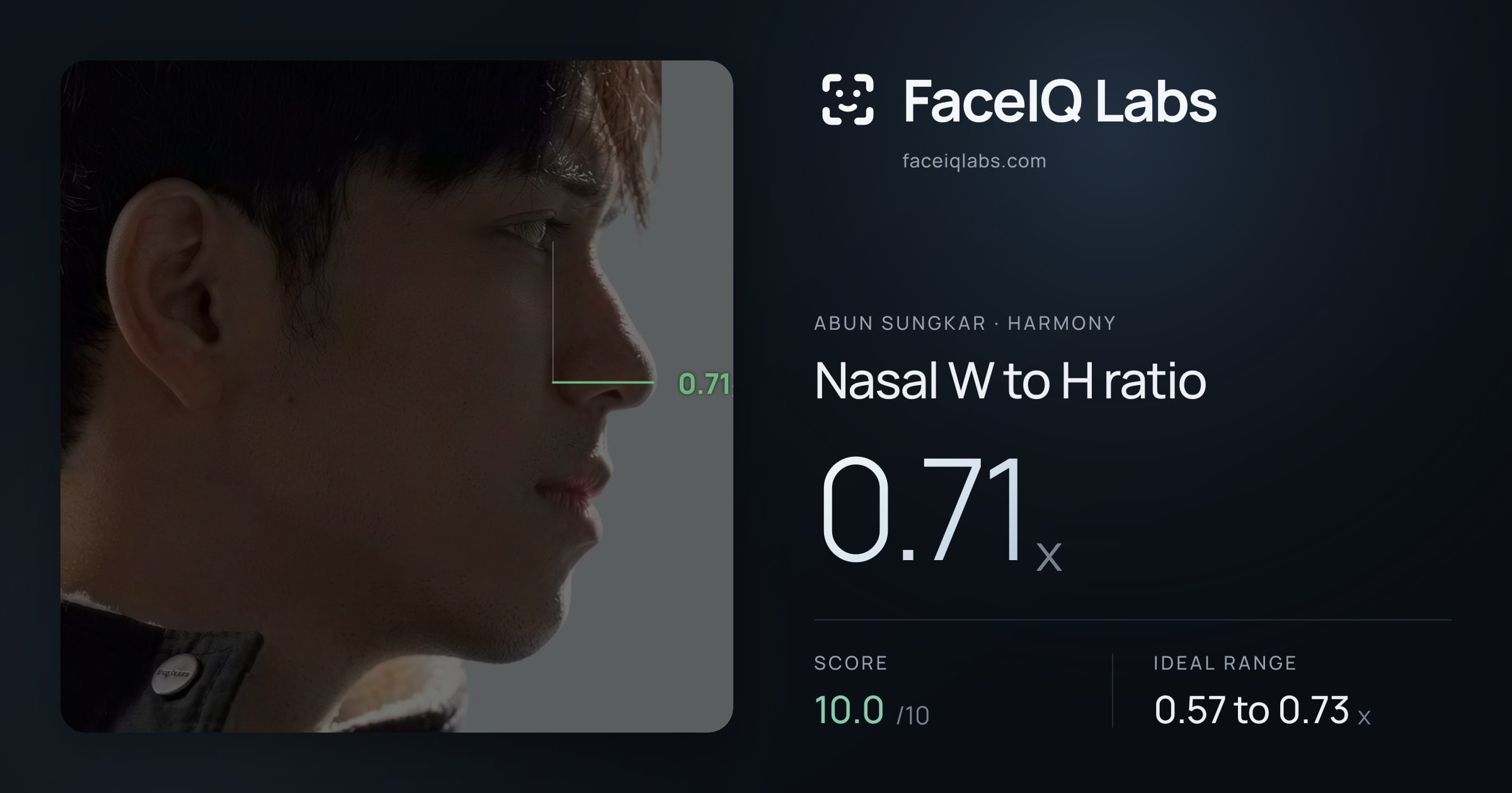 Abun Sungkar Nasal W to H ratio: 0.71x, drawn on the photo