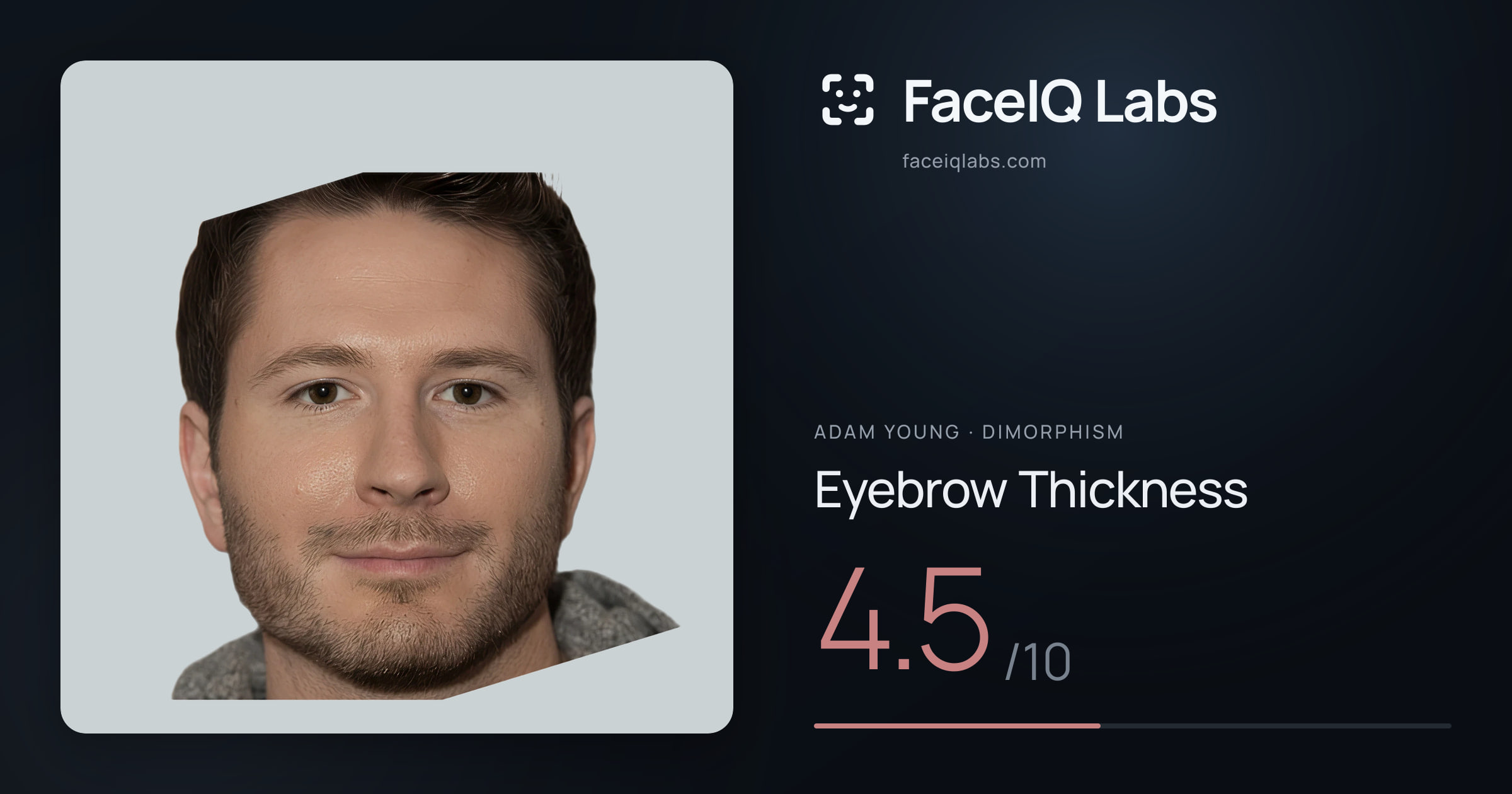Adam Young Eyebrow Thickness: 4.5/10, drawn on the photo