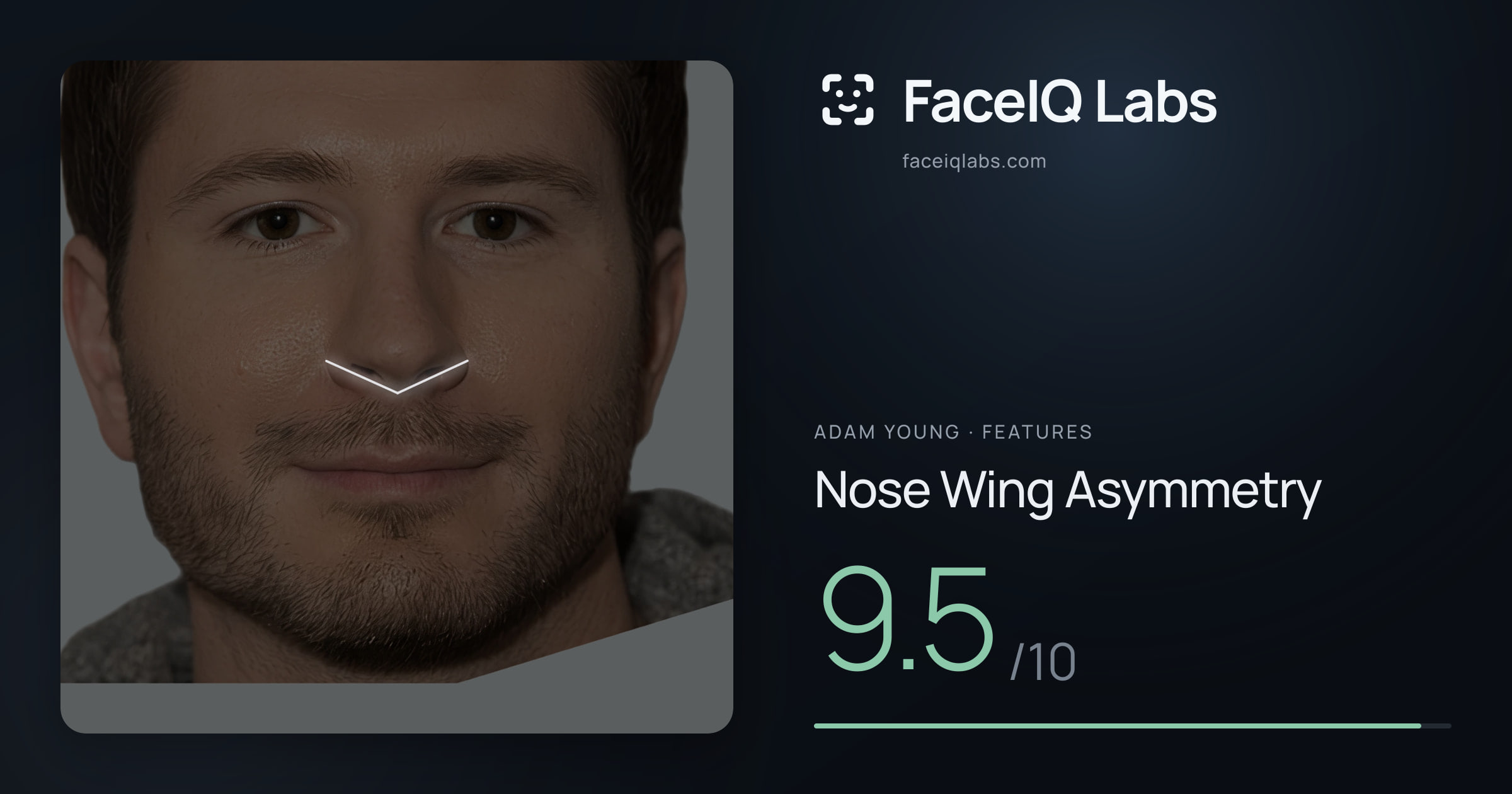 Adam Young Nose Wing Asymmetry: 9.5/10, drawn on the photo