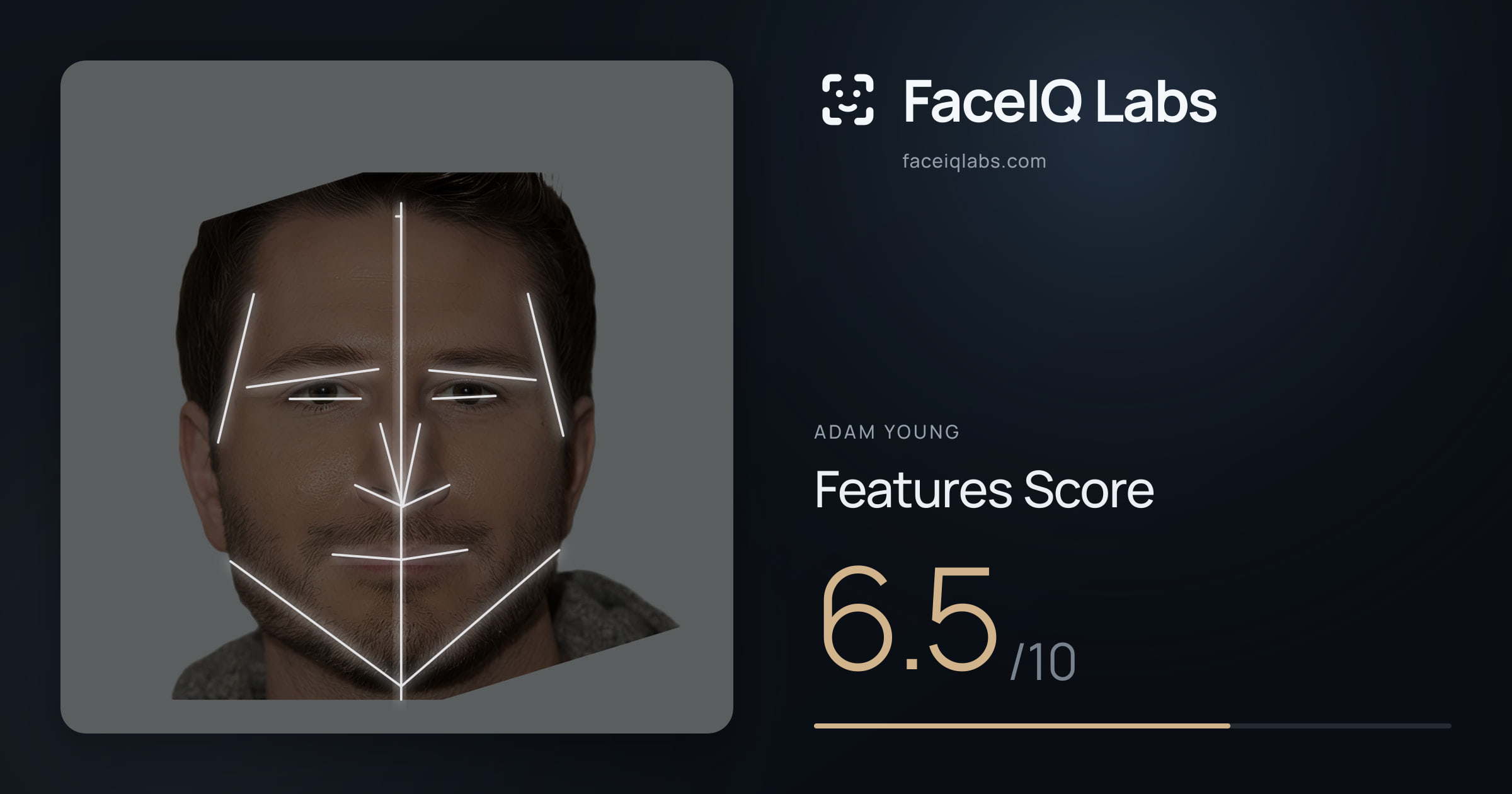Adam Young Features: 6.5/10, with each assessment drawn on the photo