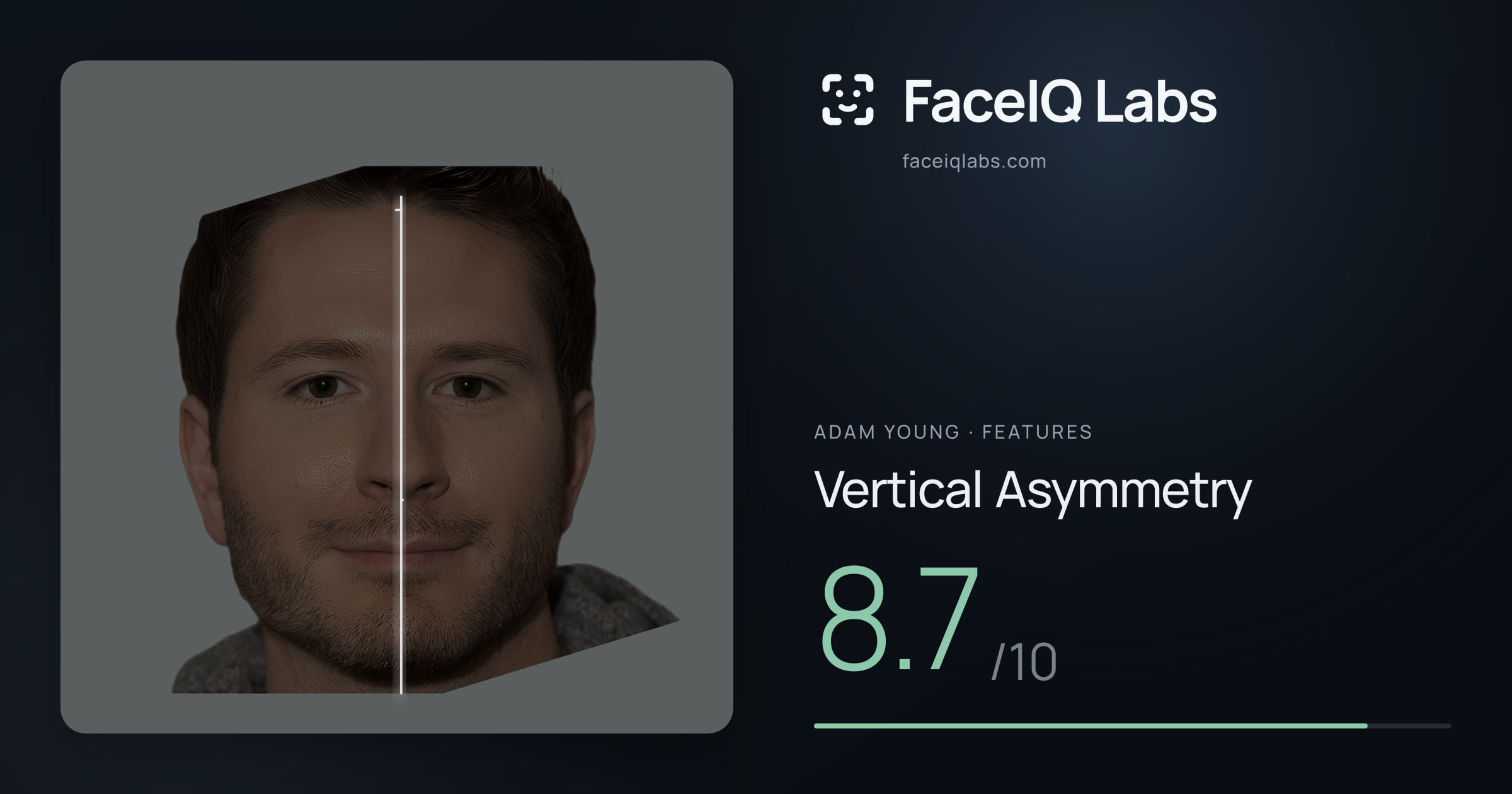 Adam Young Vertical Asymmetry: 8.7/10, drawn on the photo