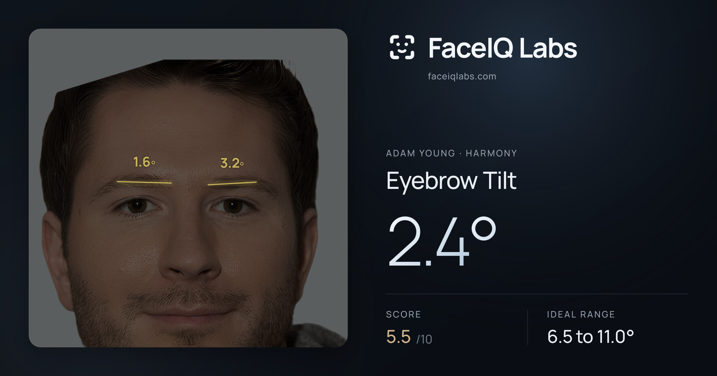 Adam Young Eyebrow Tilt: 2.4°, drawn on the photo