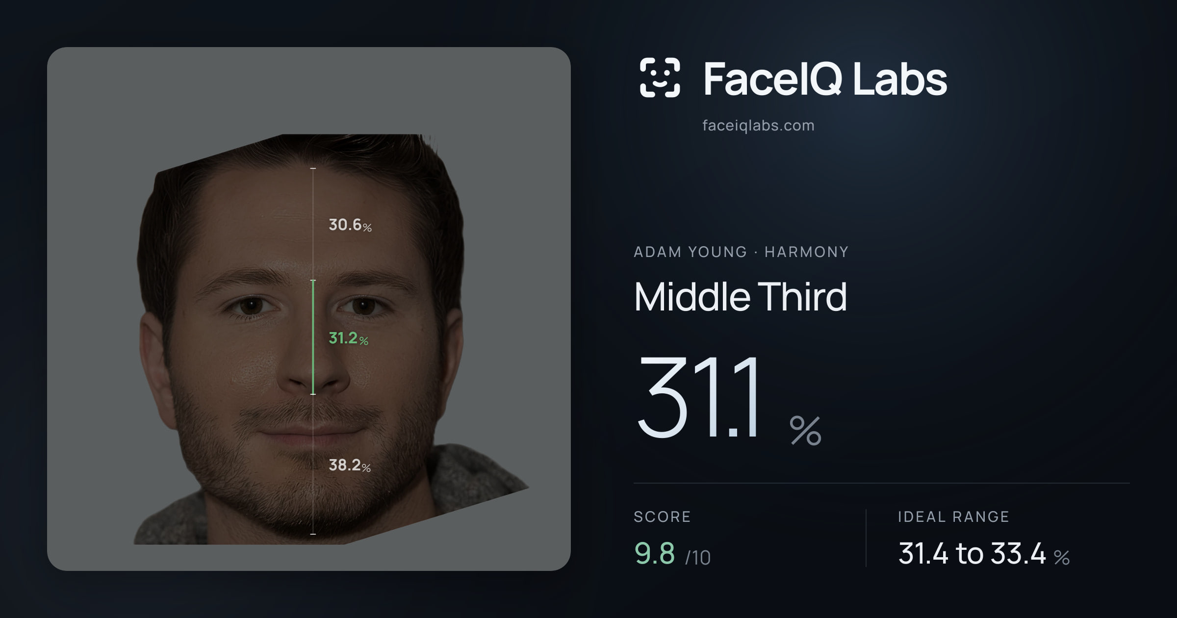 Adam Young Middle Third: 31.1%, drawn on the photo
