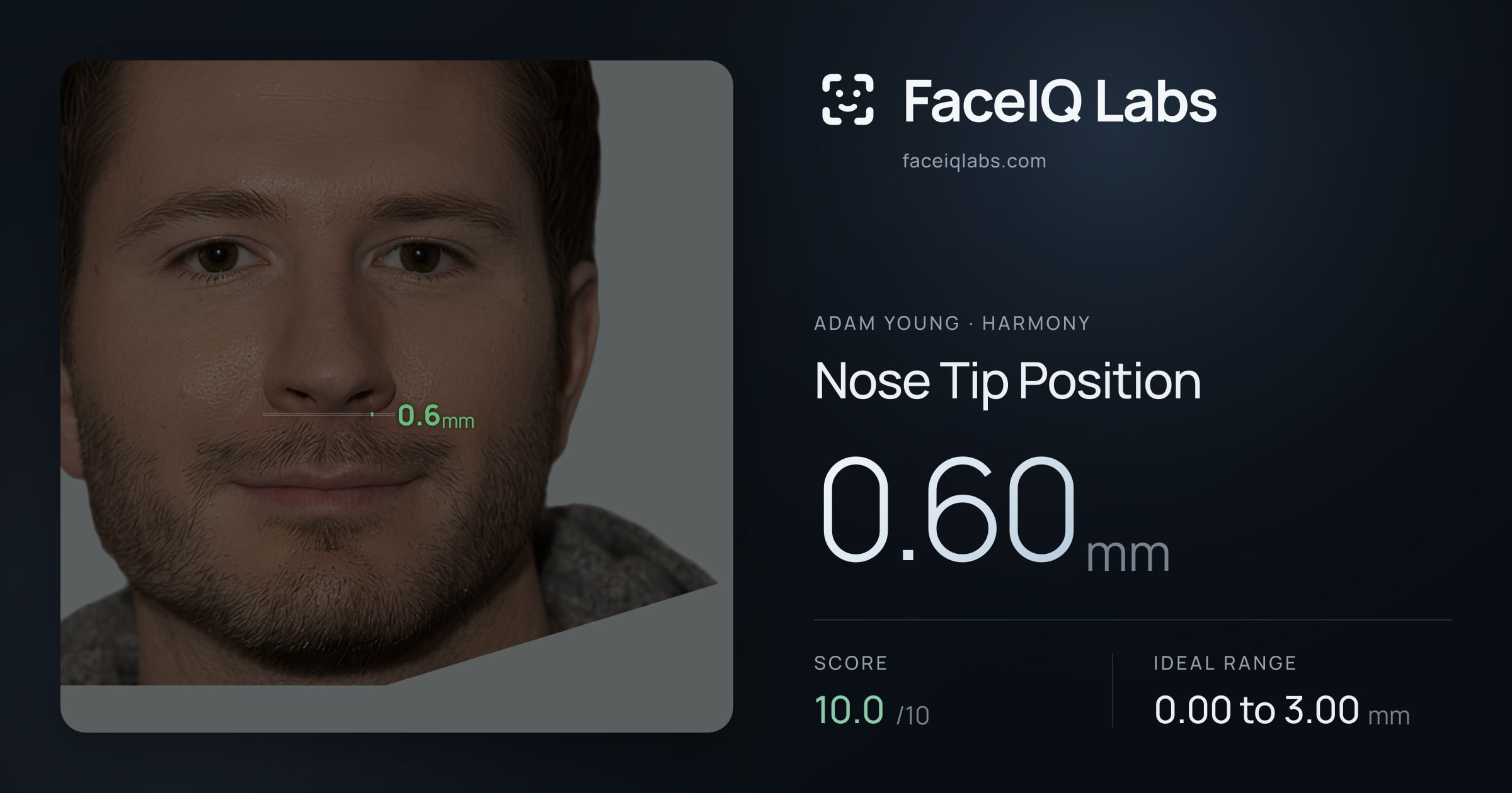 Adam Young Nose Tip Position: 0.60mm, drawn on the photo