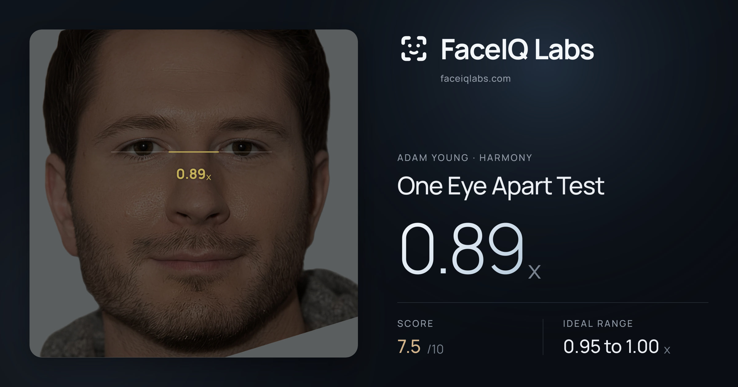 Adam Young One Eye Apart Test: 0.89x, drawn on the photo