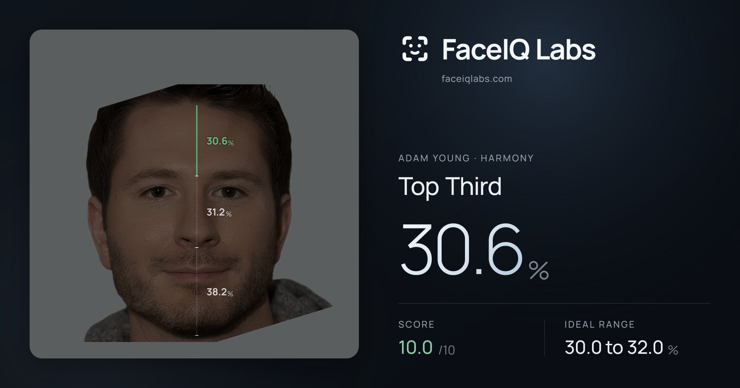Adam Young Top Third: 30.6%, drawn on the photo