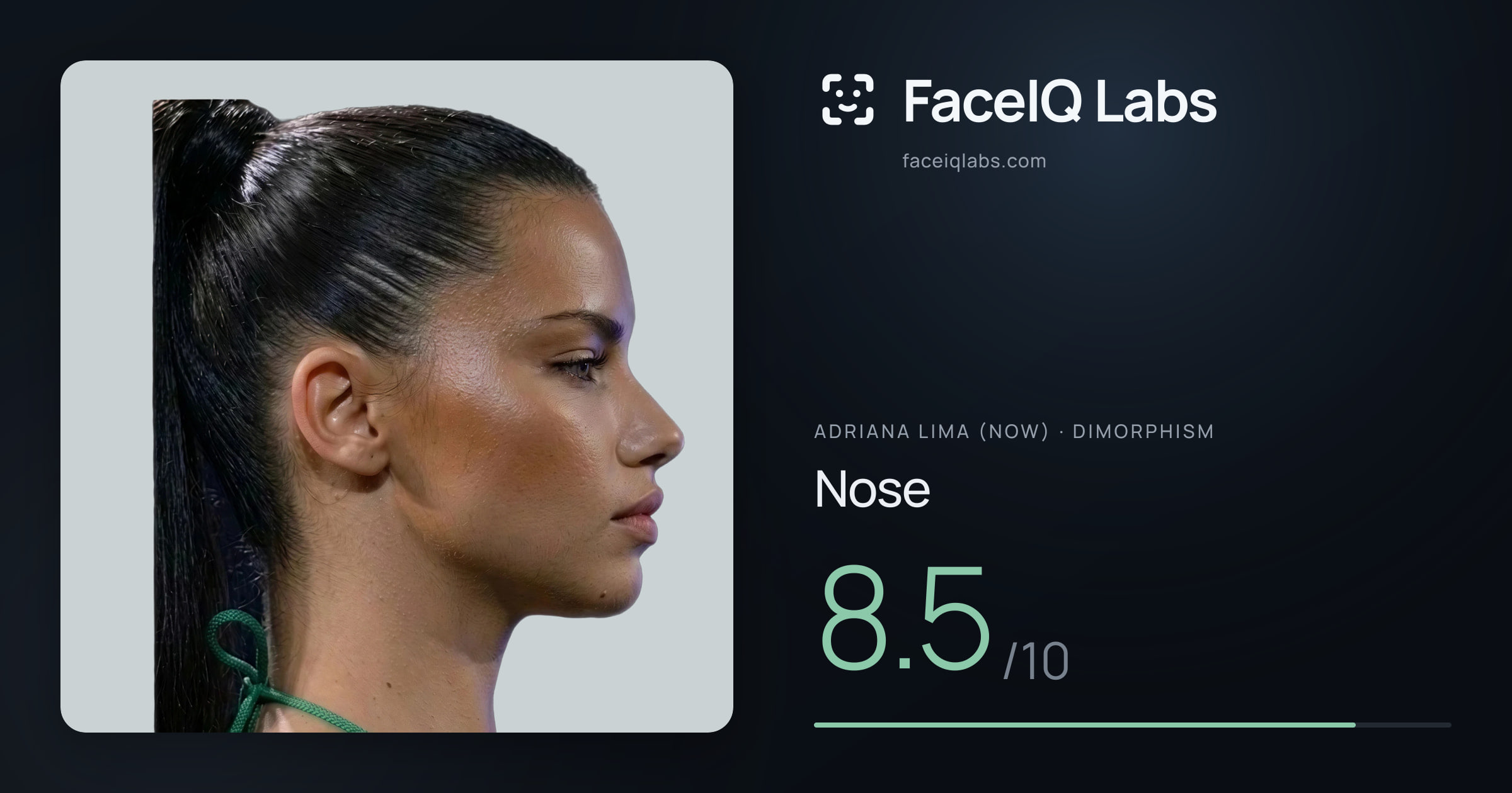 Adriana lima (now) Nose: 8.5/10, drawn on the photo