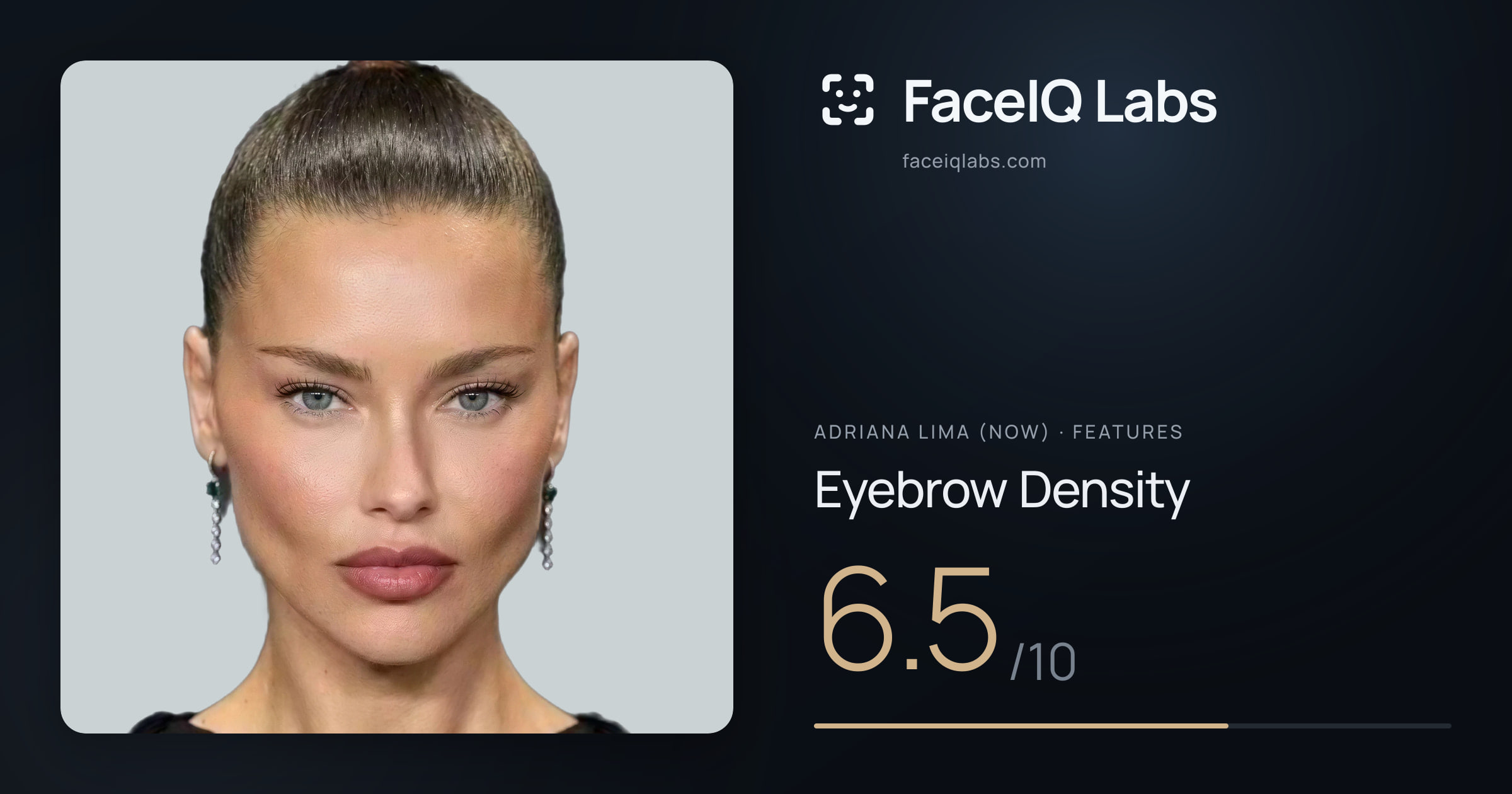 Adriana lima (now) Eyebrow Density: 6.5/10, drawn on the photo