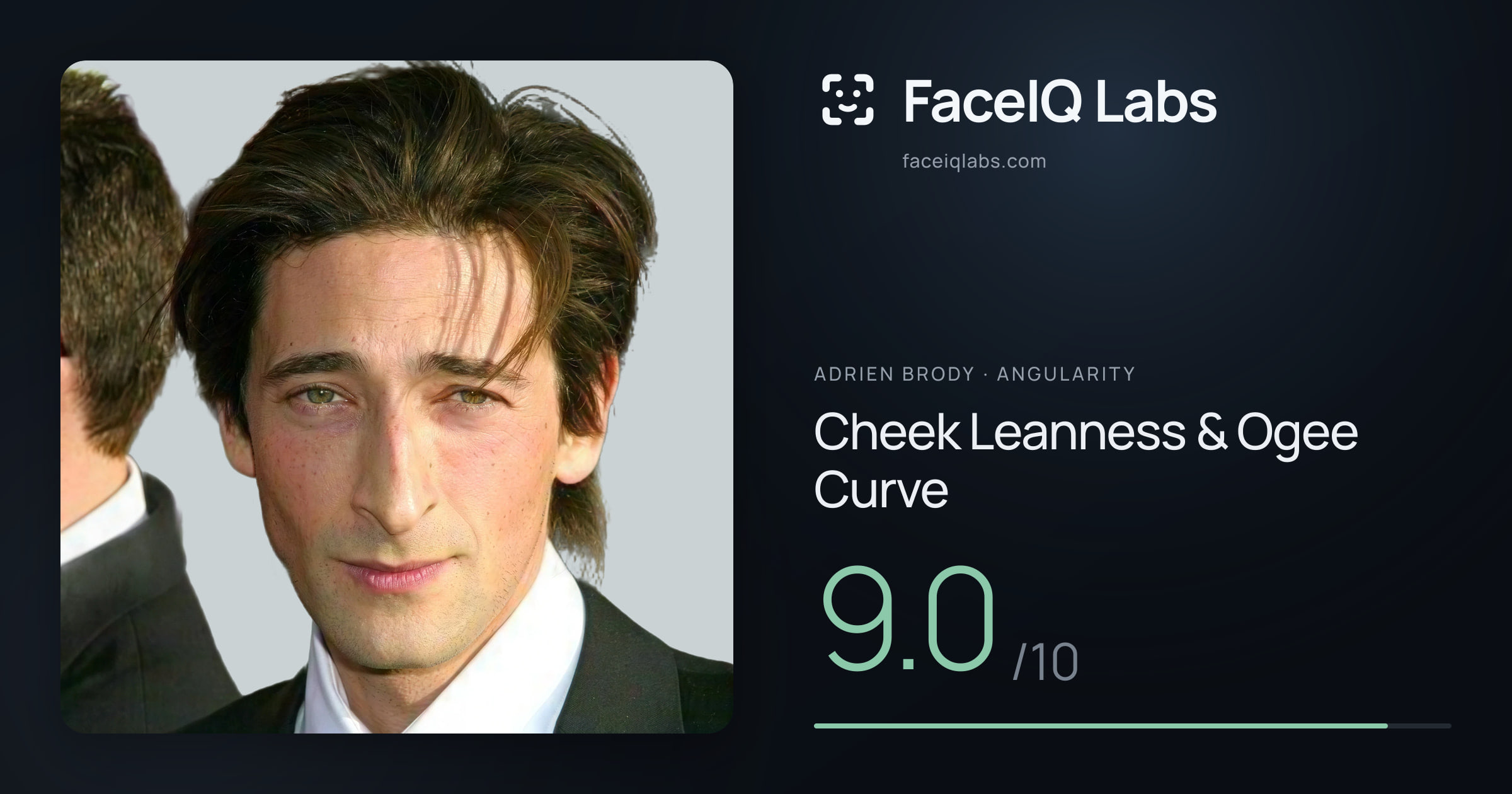 Adrien Brody Cheek Leanness & Ogee Curve: 9.0/10, drawn on the photo