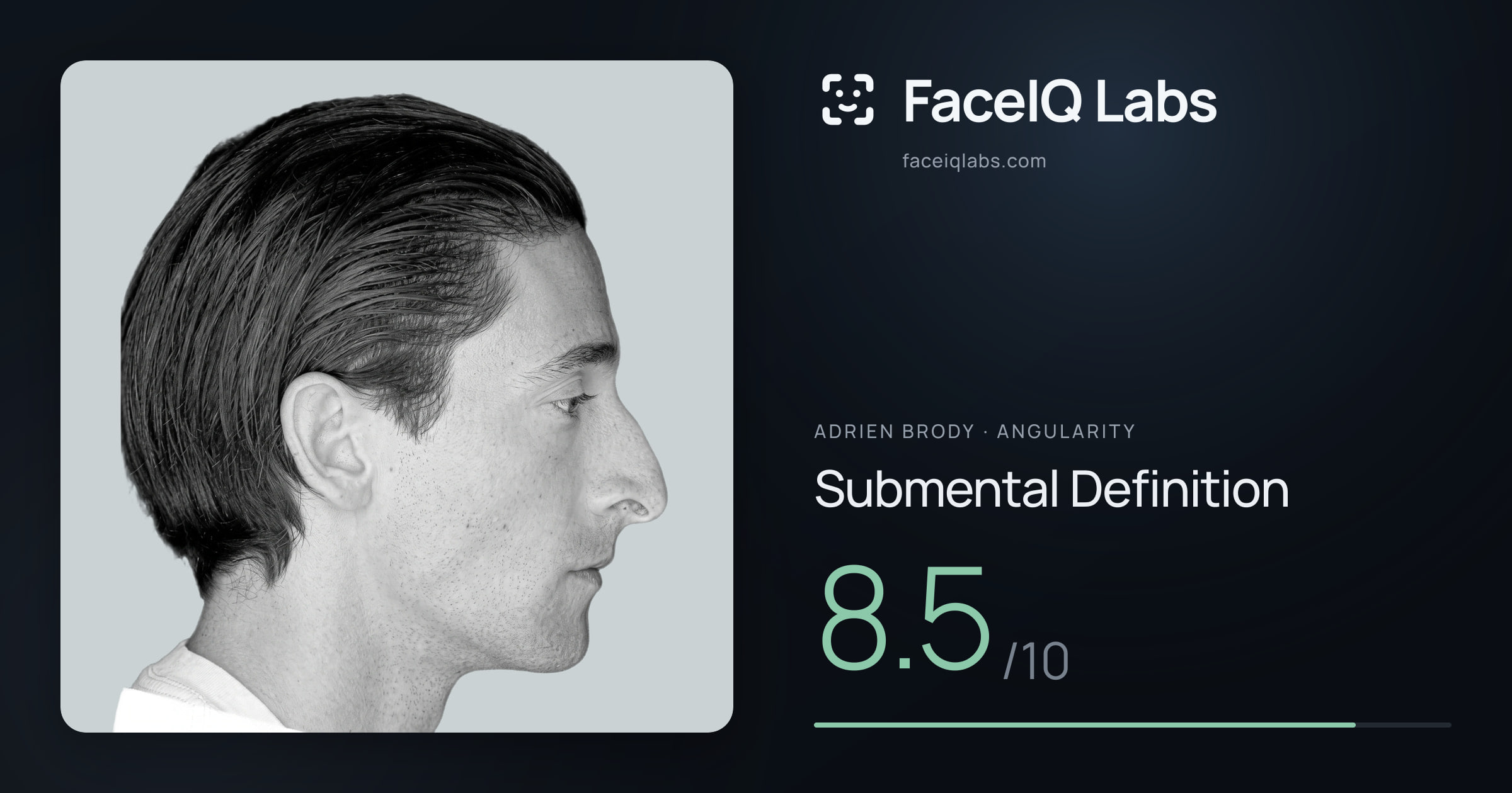 Adrien Brody Submental Definition: 8.5/10, drawn on the photo