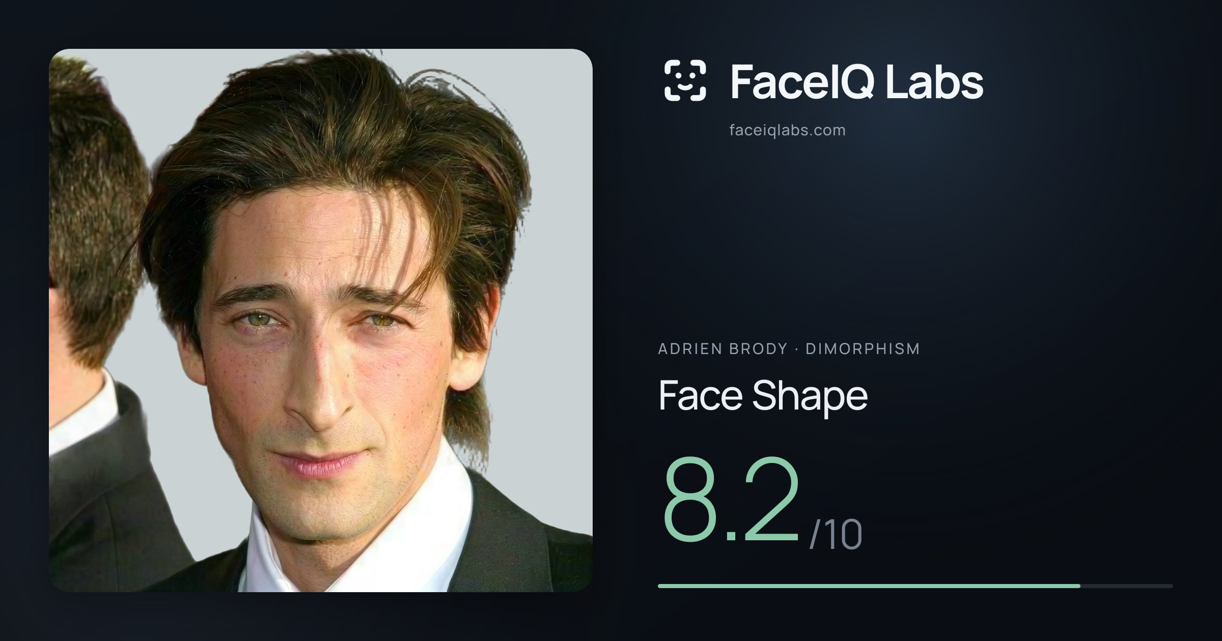 Adrien Brody Face Shape: 8.2/10, drawn on the photo