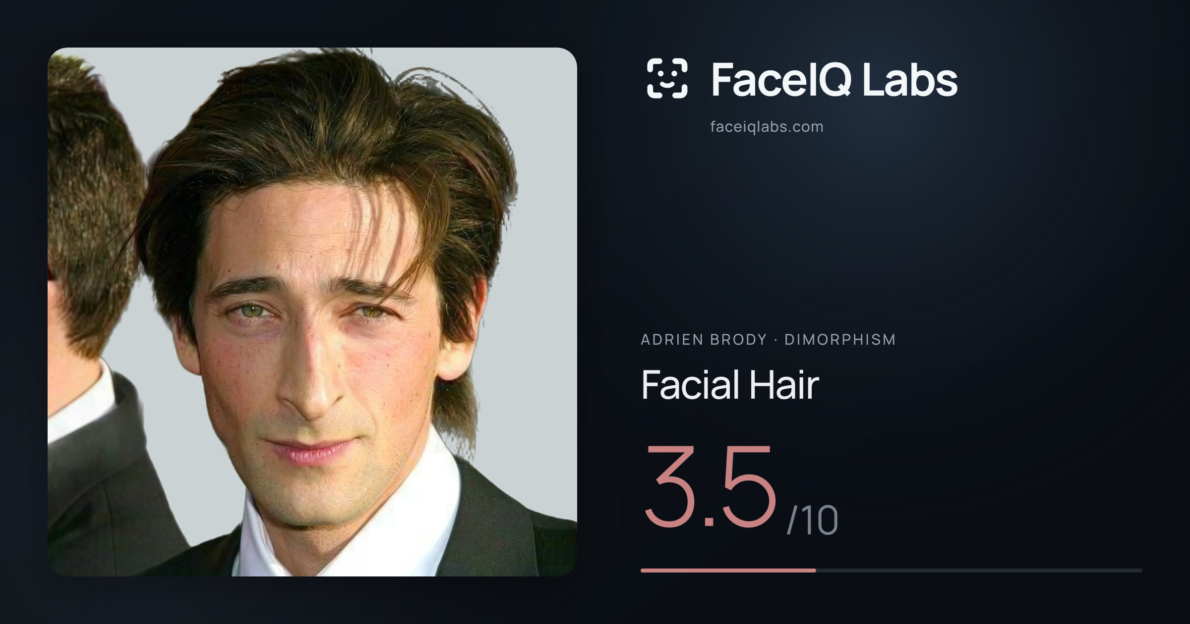 Adrien Brody Facial Hair: 3.5/10, drawn on the photo
