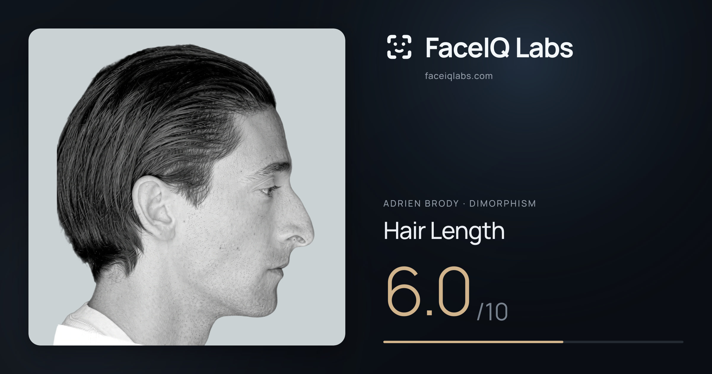 Adrien Brody Hair Length: 6.0/10, drawn on the photo