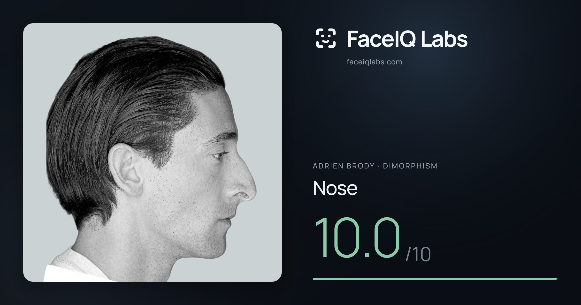 Adrien Brody Nose: 10.0/10, drawn on the photo