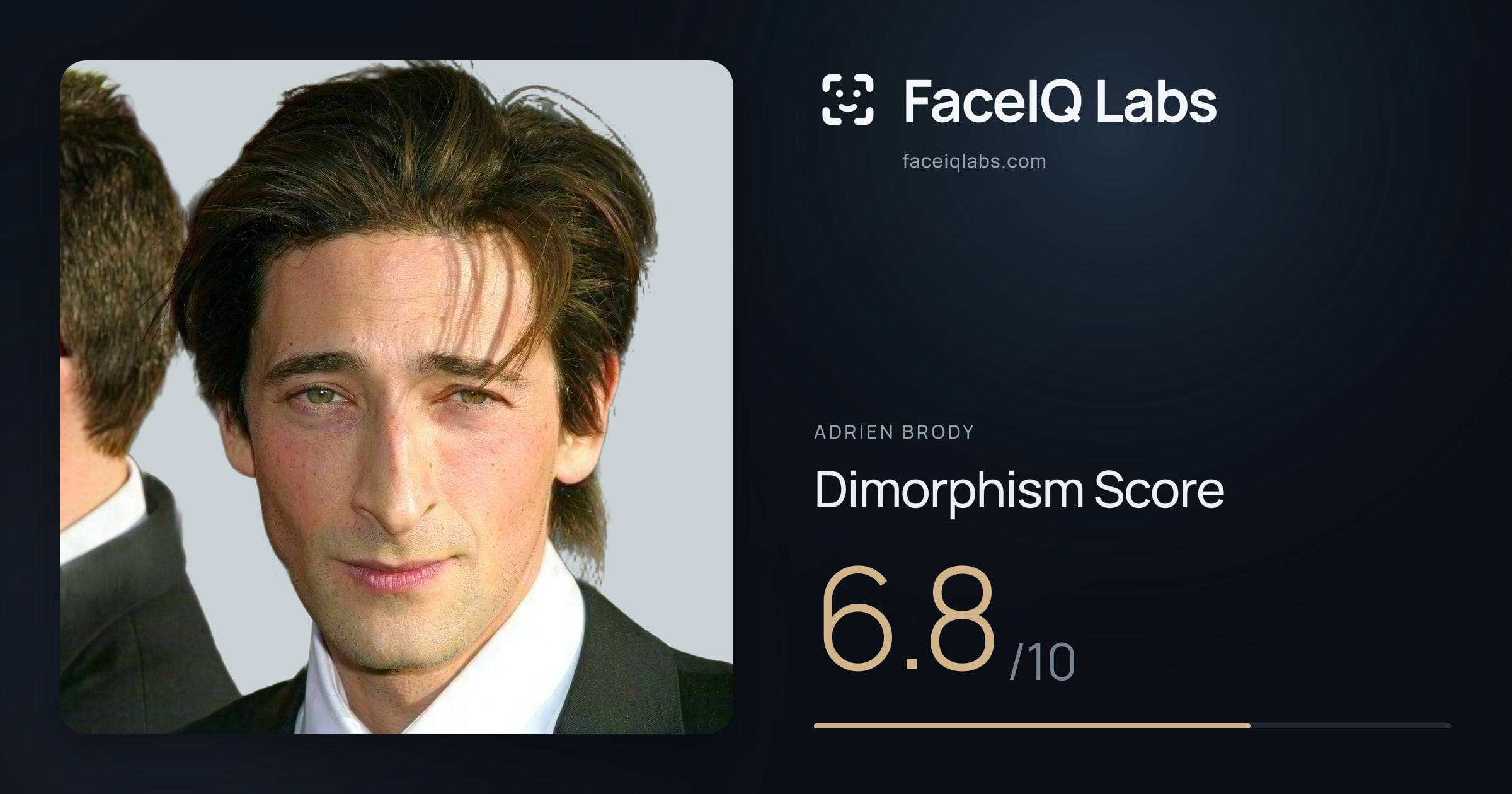 Adrien Brody Dimorphism: 6.8/10, with each assessment drawn on the photo