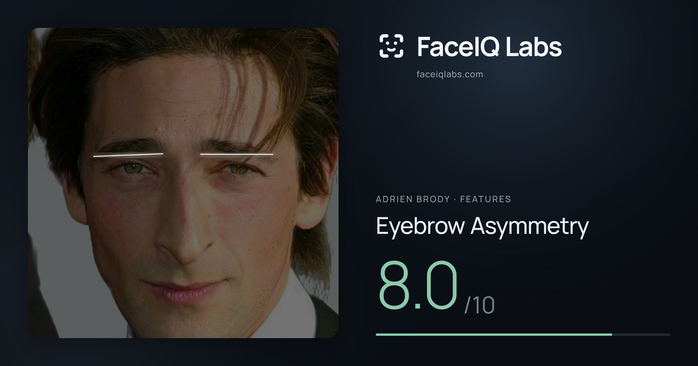 Adrien Brody Eyebrow Asymmetry: 8.0/10, drawn on the photo